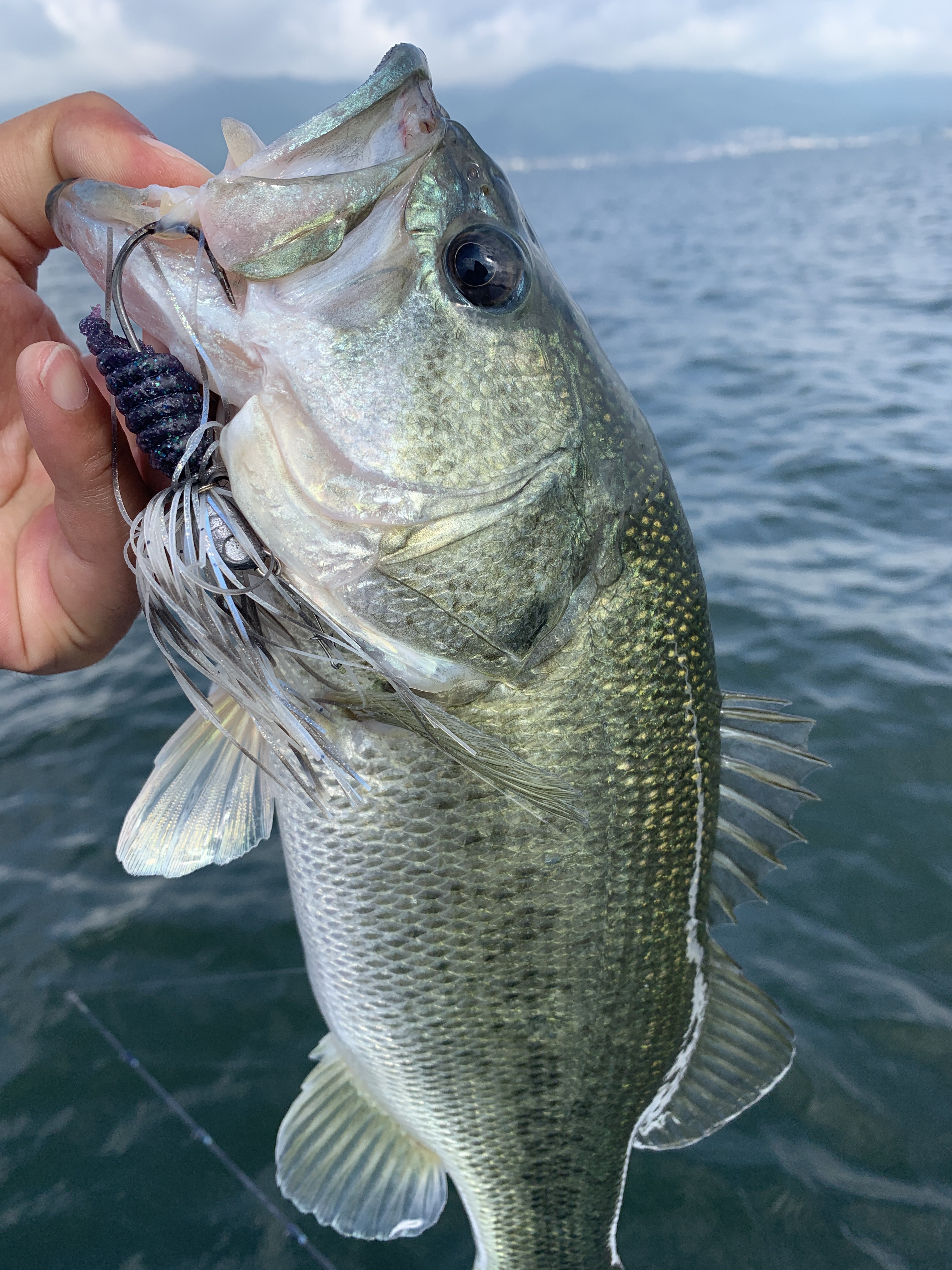 72040E06-7764-4E48-A243-9BE972C43133