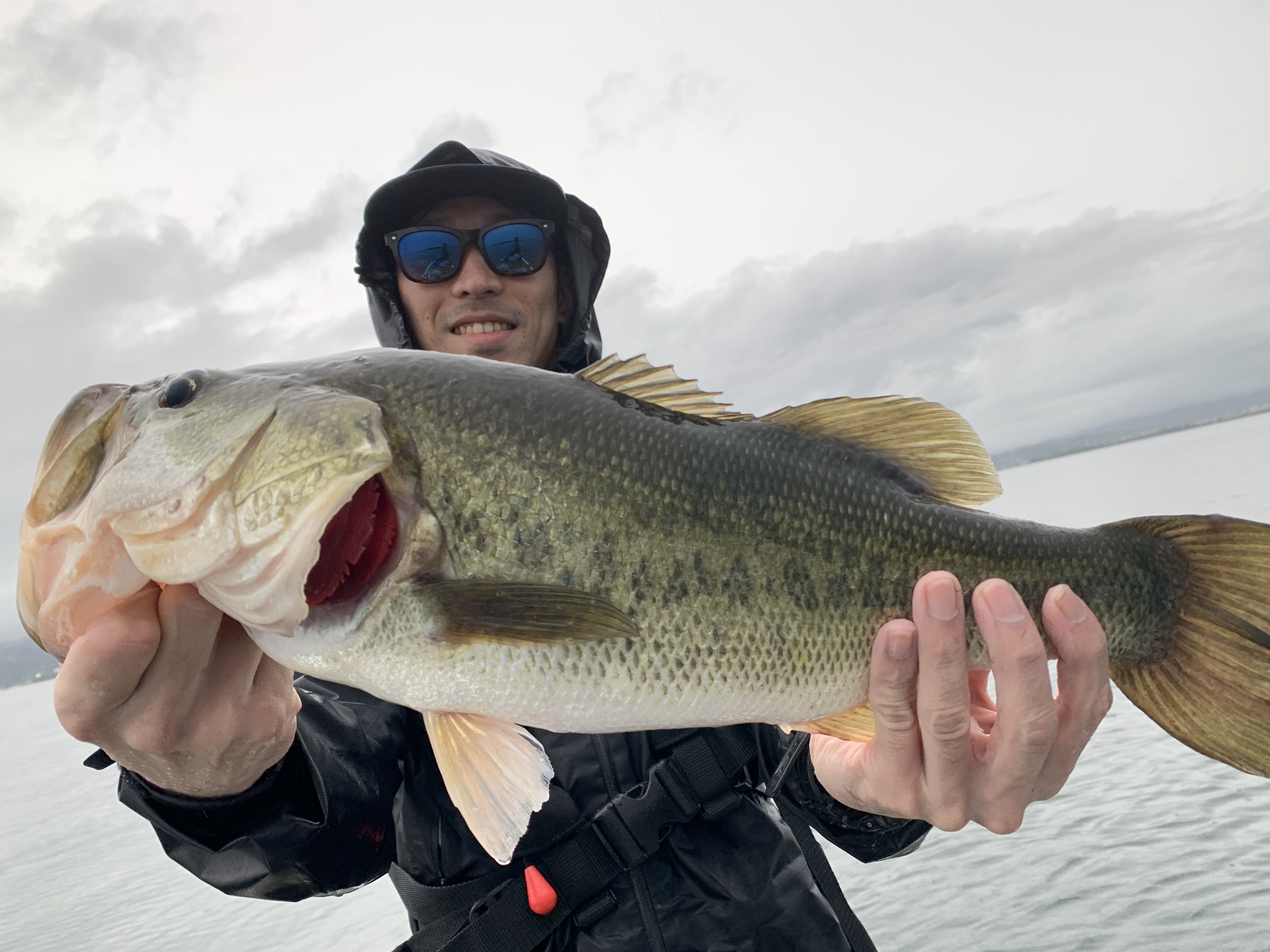 7BD6C800-B1BA-493A-8602-A58B65295AE9