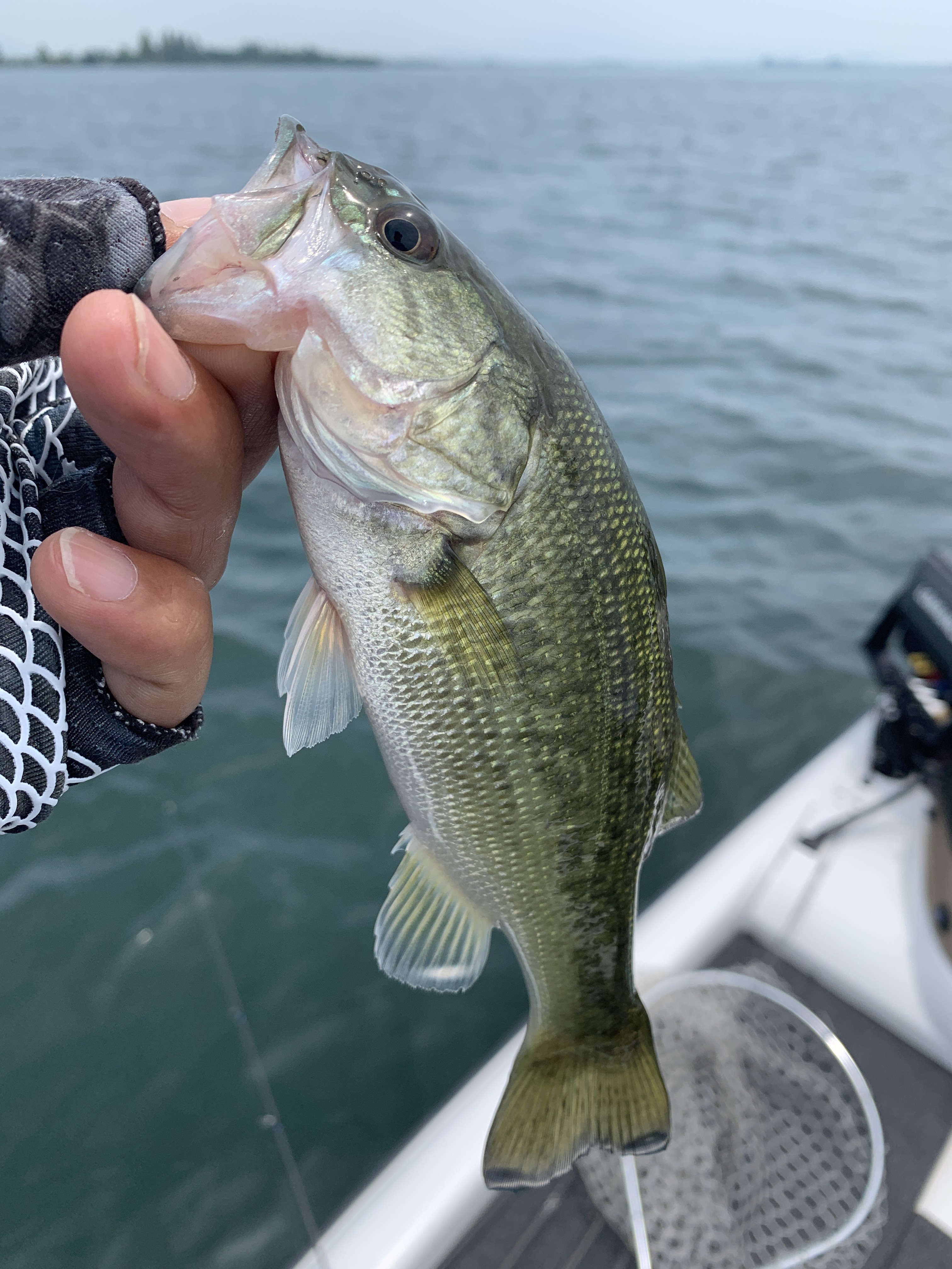 BDFCF6F8-7FC4-4861-AD41-6318C64D0A95