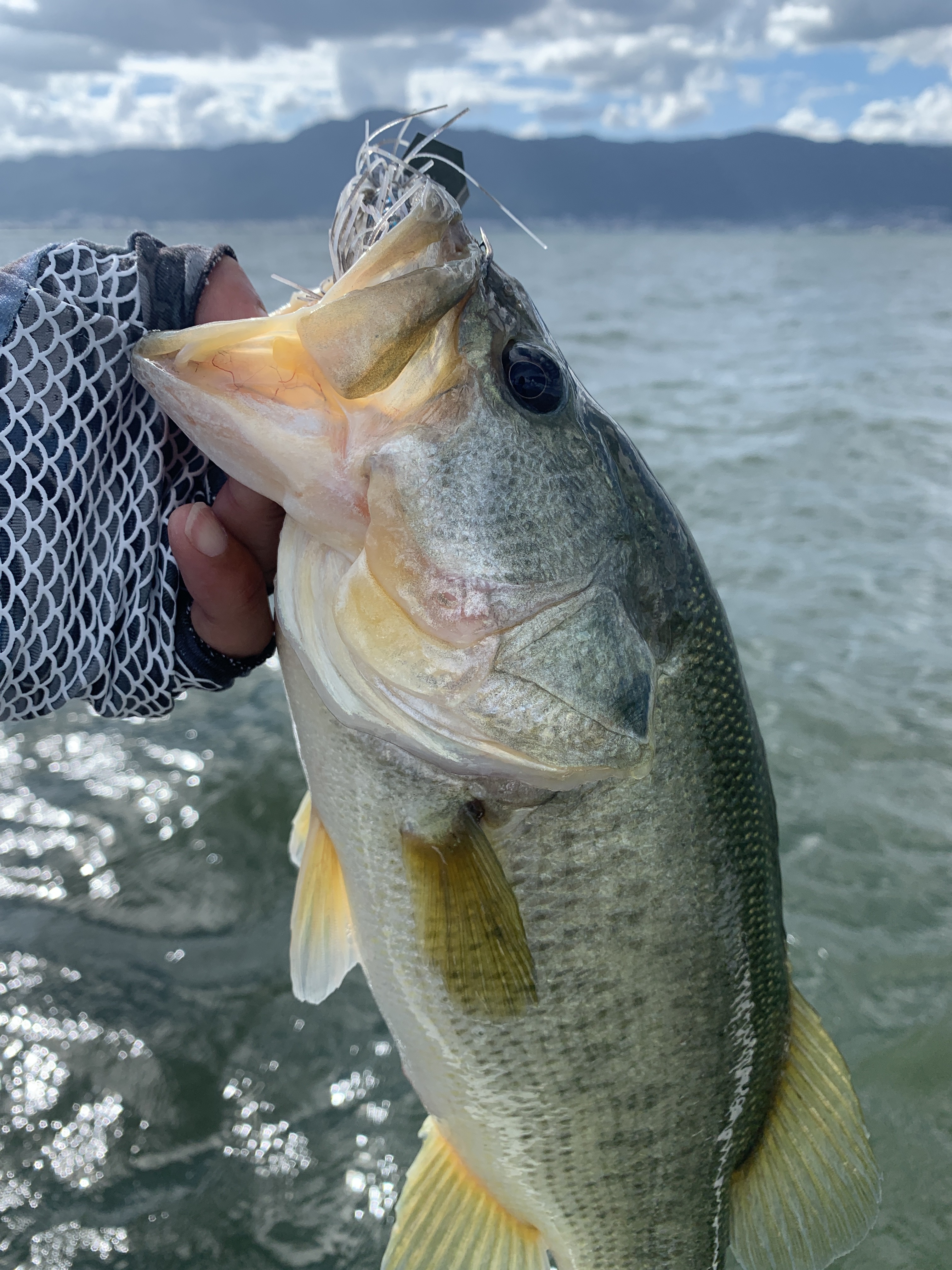 C00A7837-2ABE-477F-B7C2-7472750B1CE5