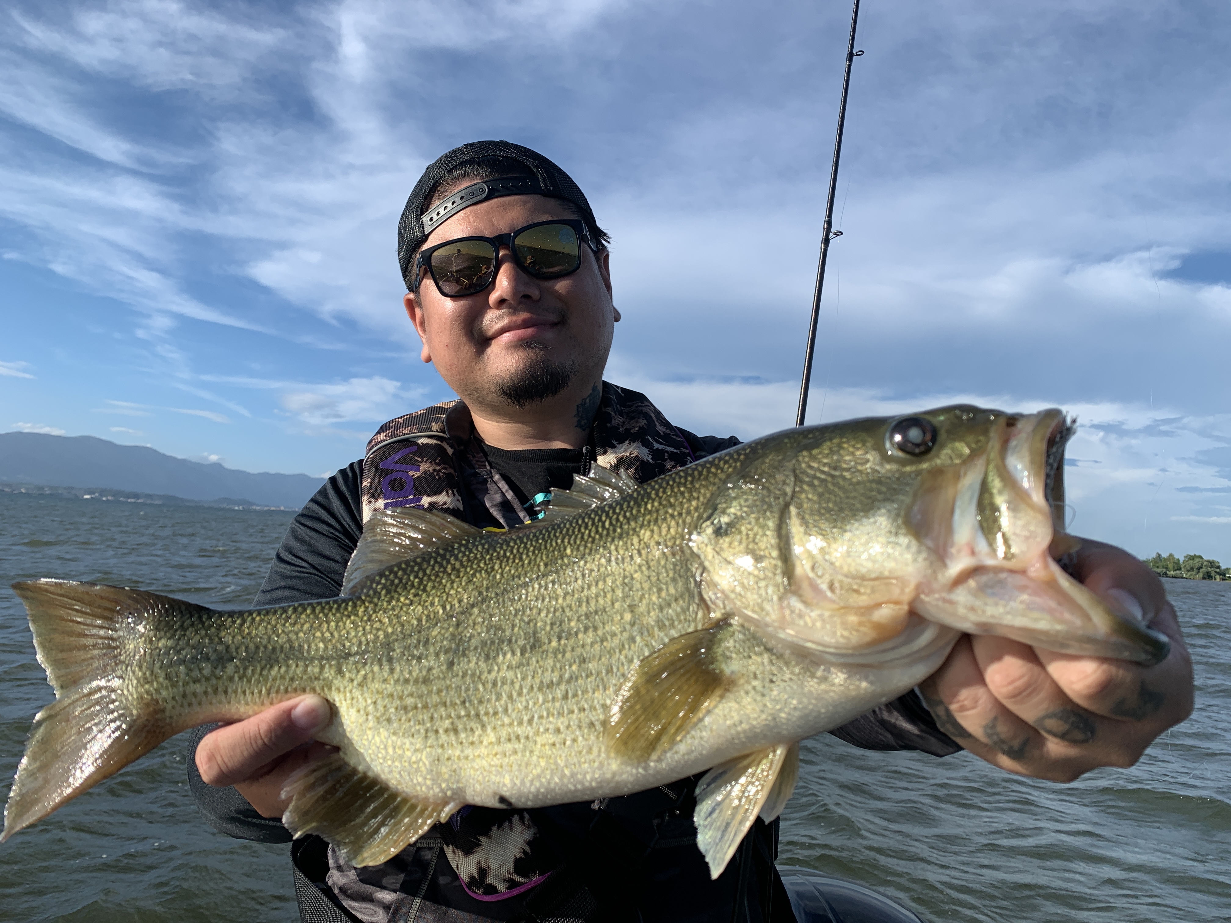 C66748A8-CBB0-4B74-9464-9A43C6D64EB8