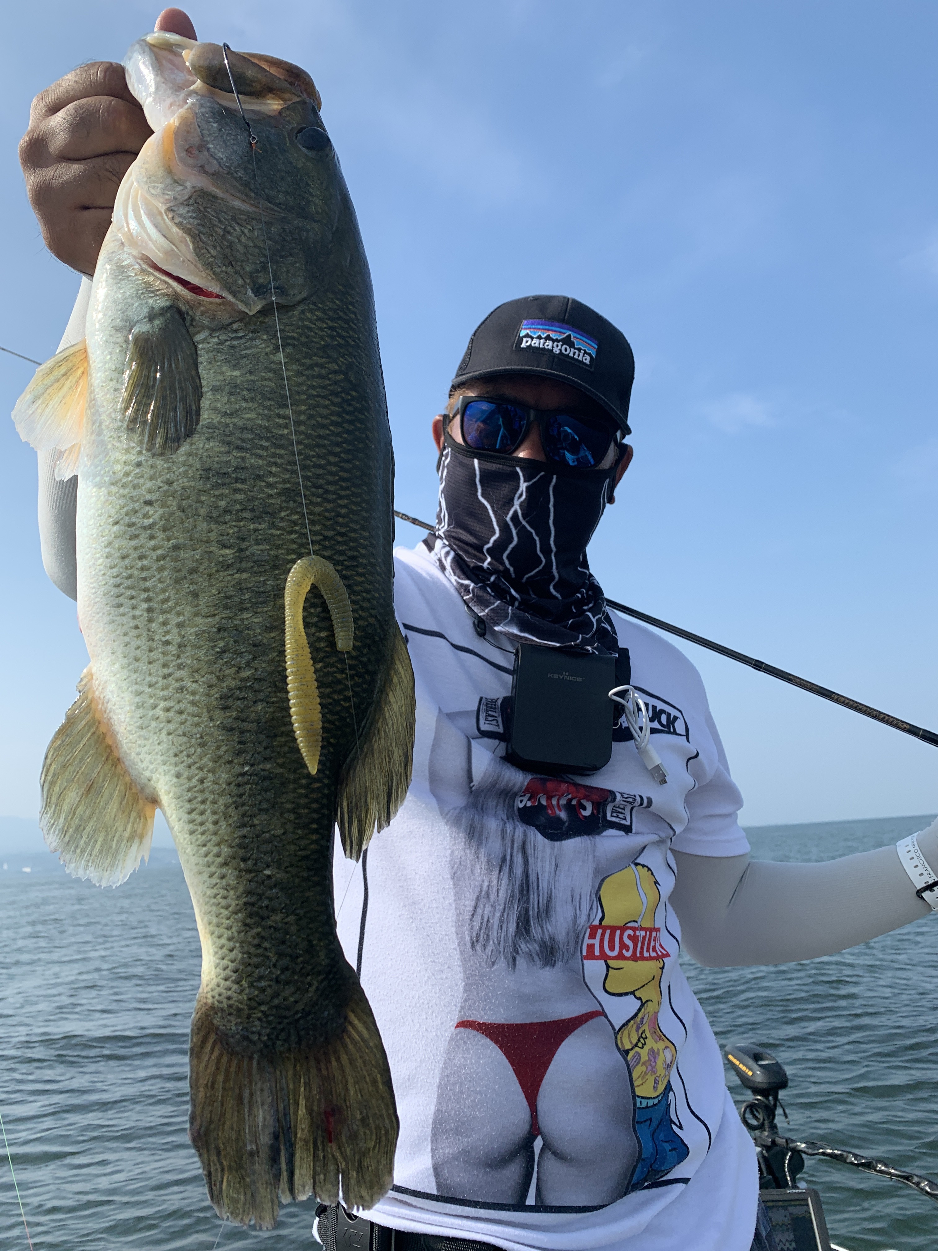 D5E4759C-18B7-4A97-919B-BAAF0629BAEA