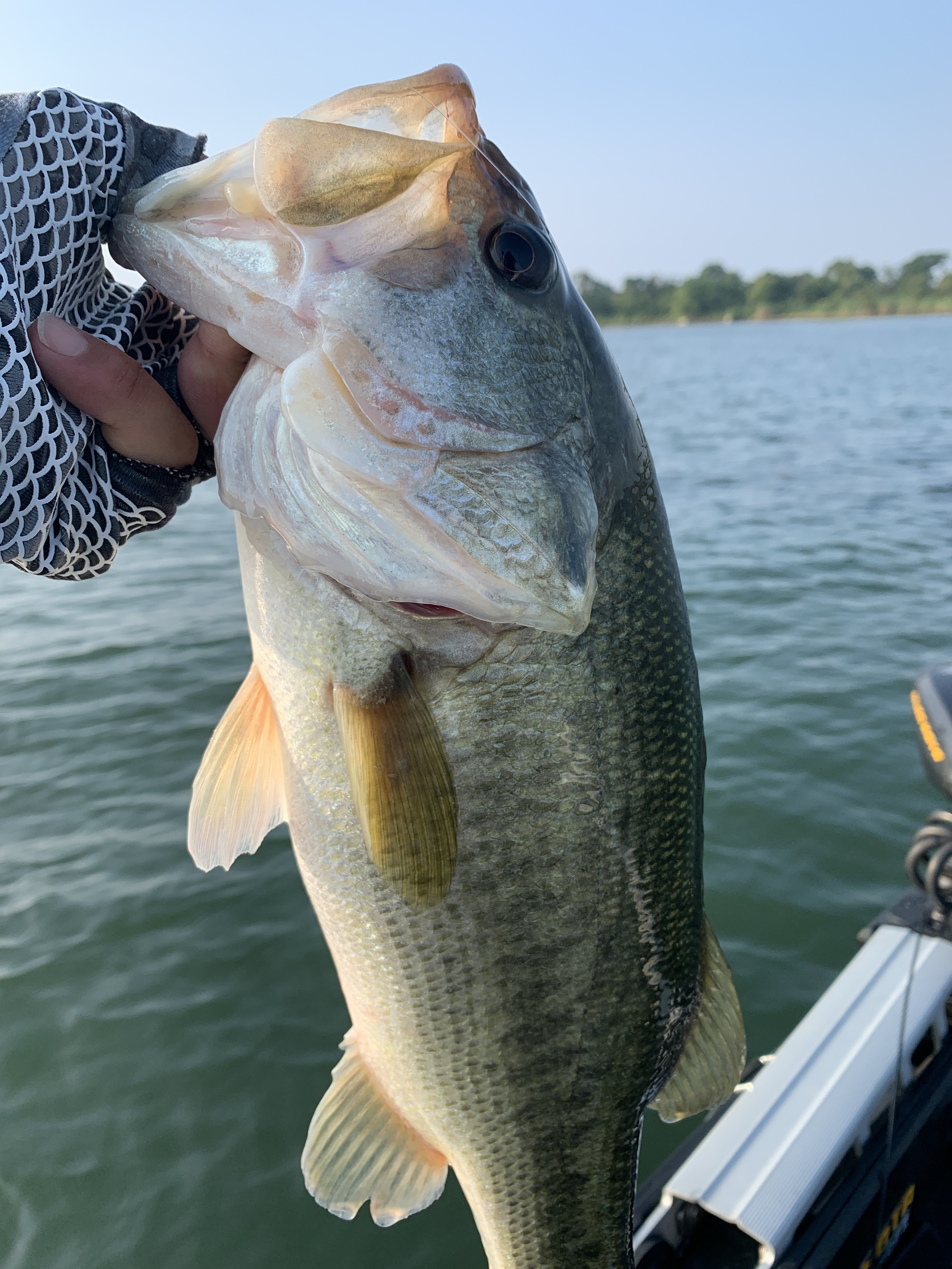 D907F9F9-A4A6-4ABC-A39B-67C671CB2082