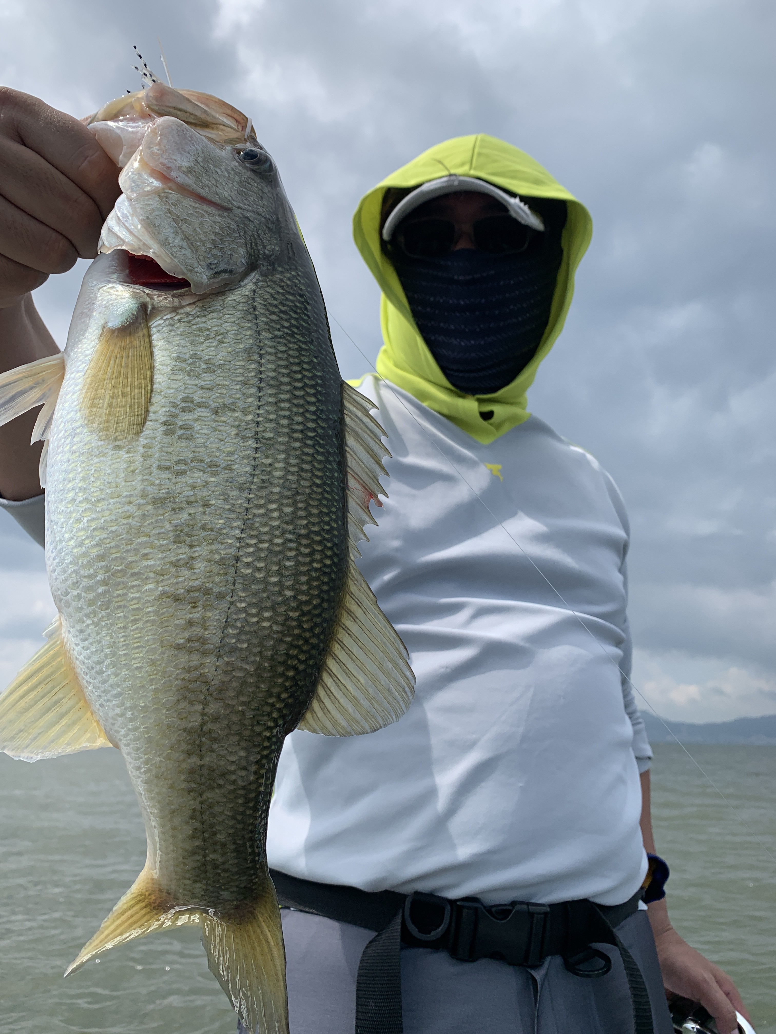 D972CF6B-BA60-48AD-9290-1D89BC0FC6B6