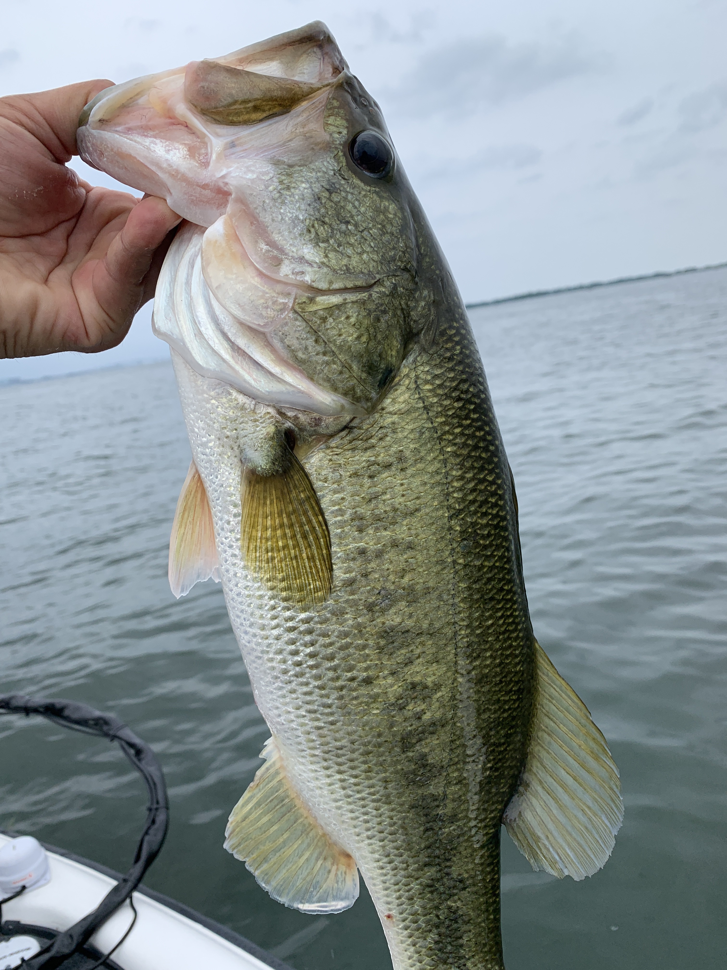 E95A30F6-6CC2-4D62-B126-7C34BF8CDFAF