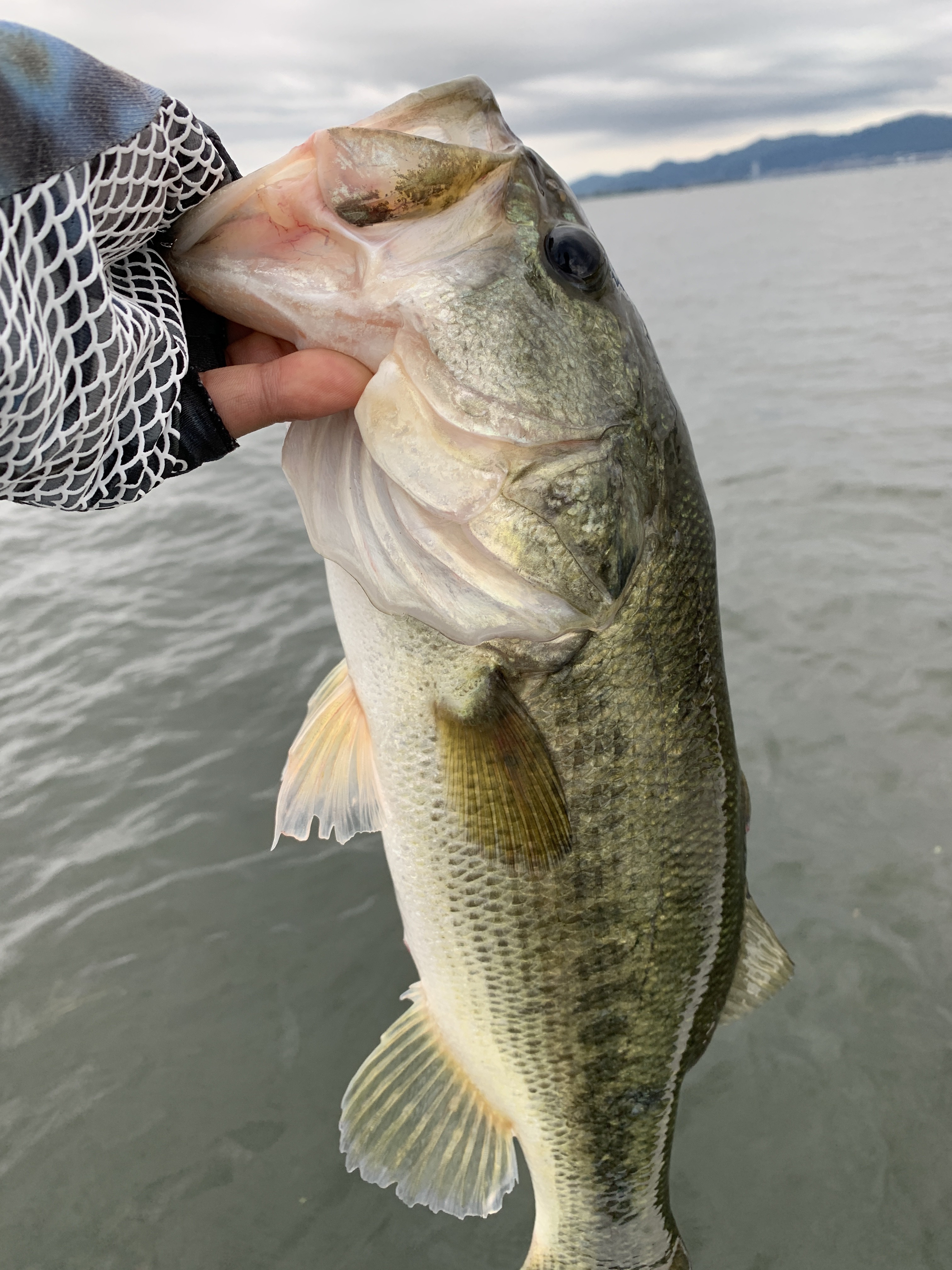 F61C8A59-3DC3-41AD-B6C3-C47B111EA3F0