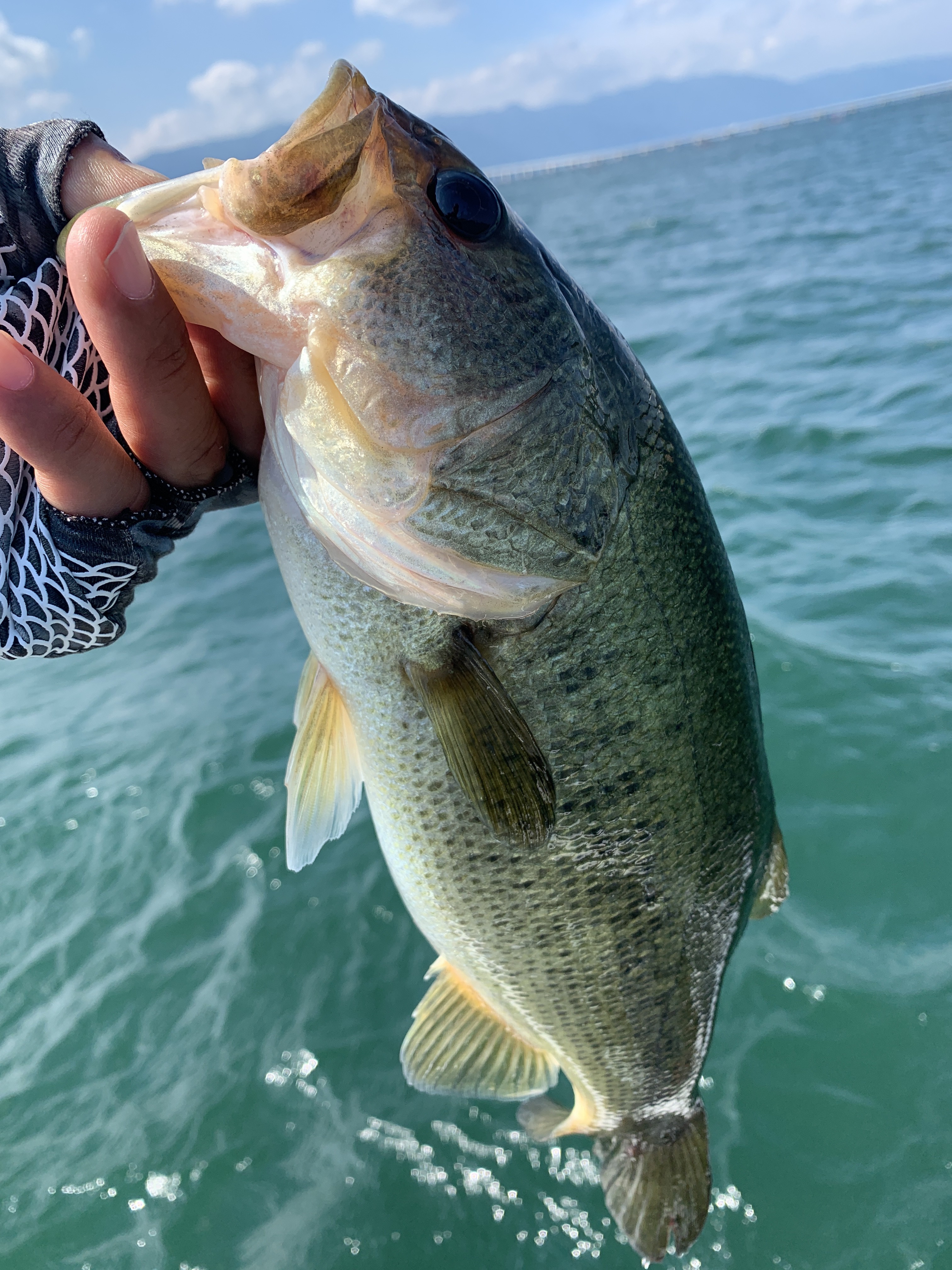 108B216B-8429-4696-819E-AE8144017F55