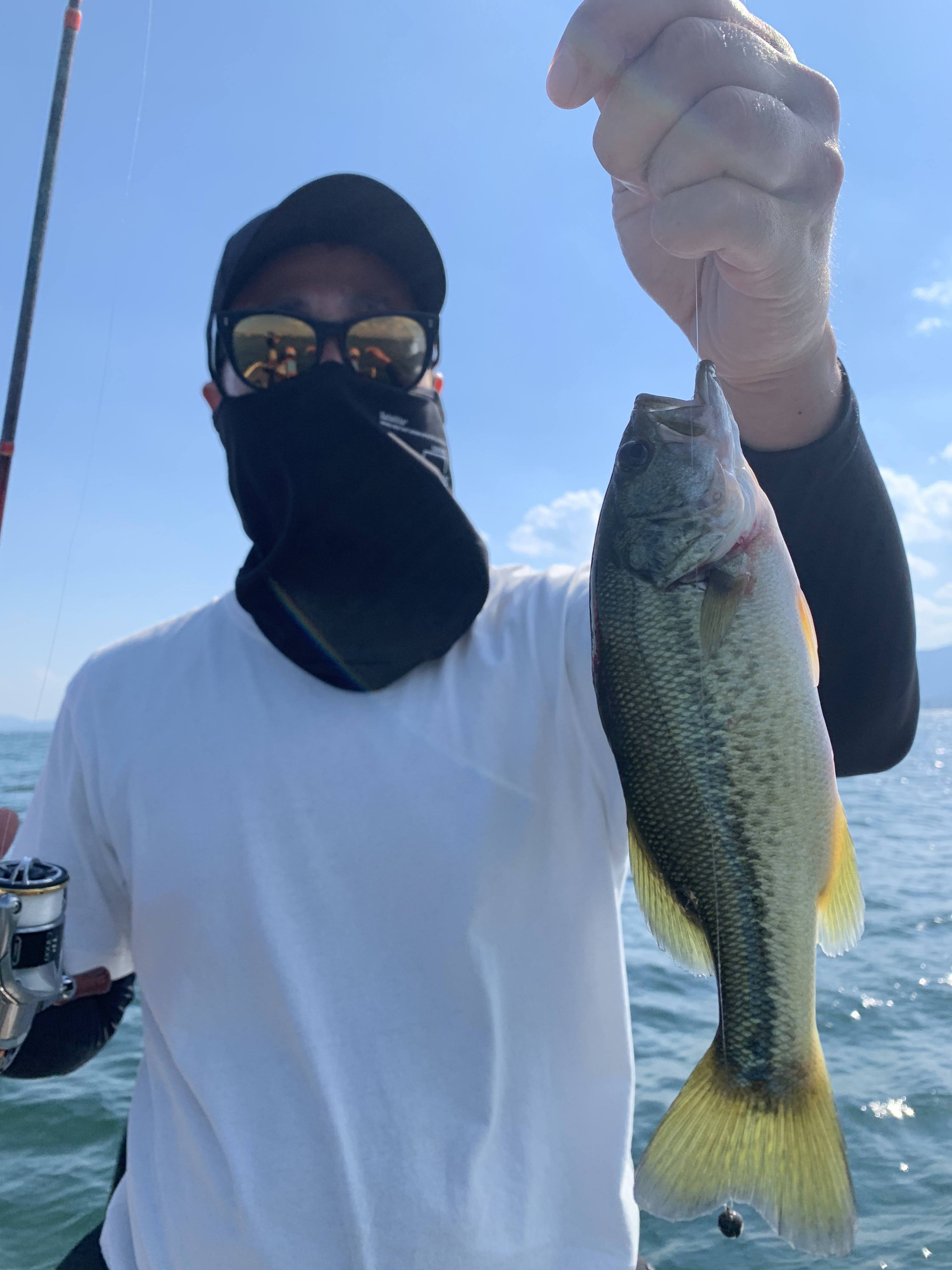 293CA504-3D3B-4E53-BFA4-8EC66AB38F73