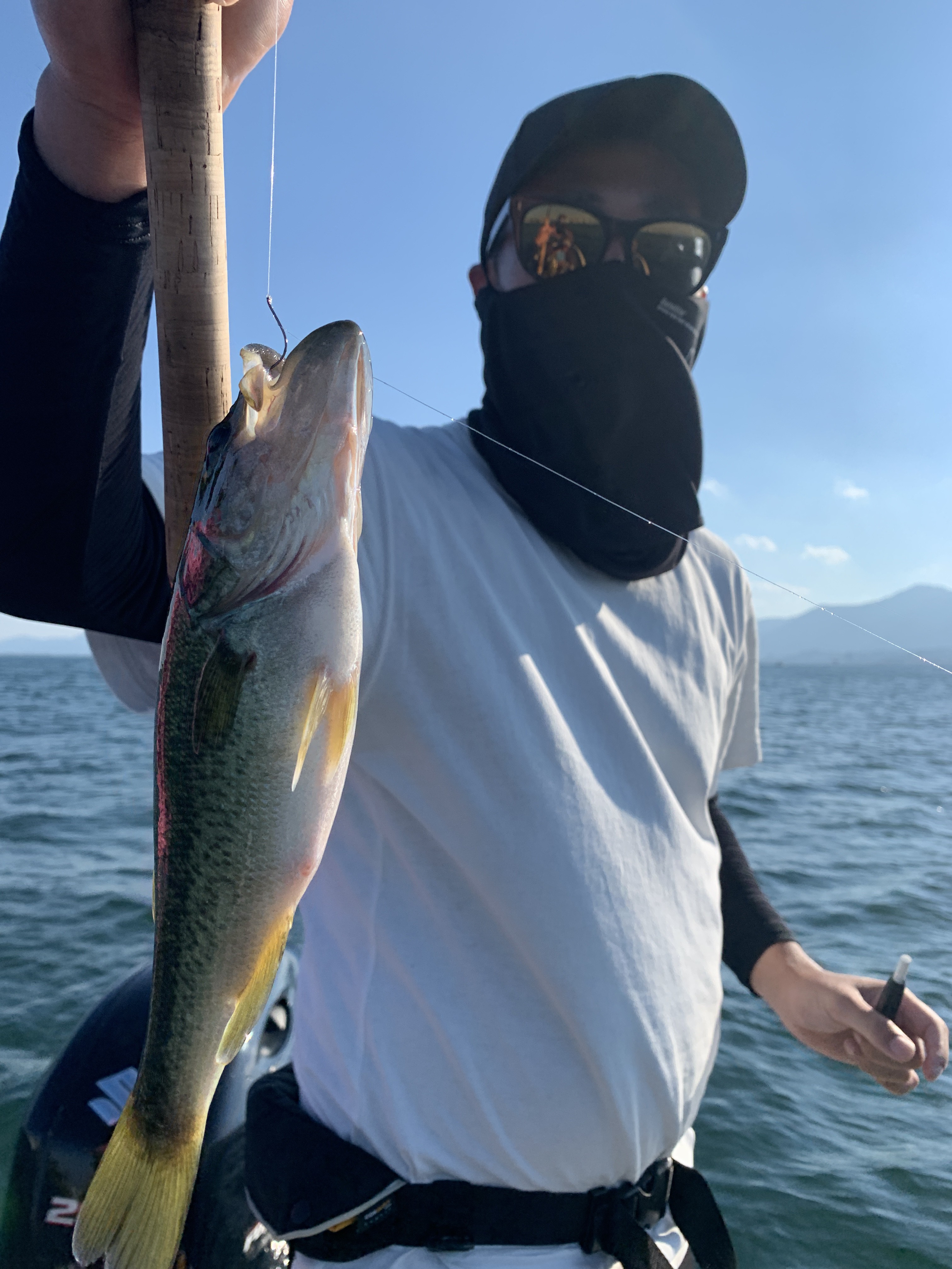 4345E316-3FC4-4E02-BA19-D22F75983BF5