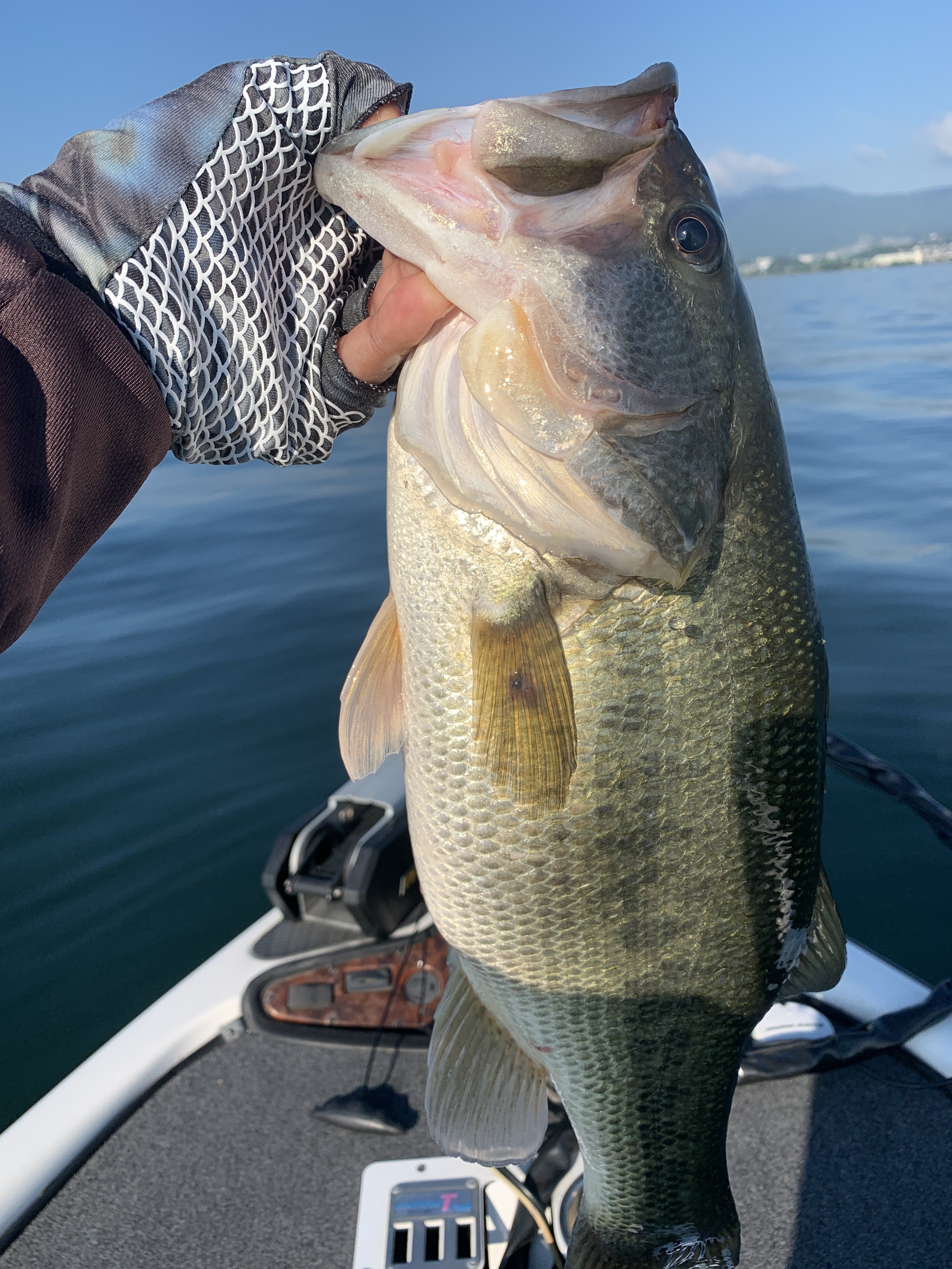 4CCE96C3-B420-42A9-B7AB-7C92D7F95D53