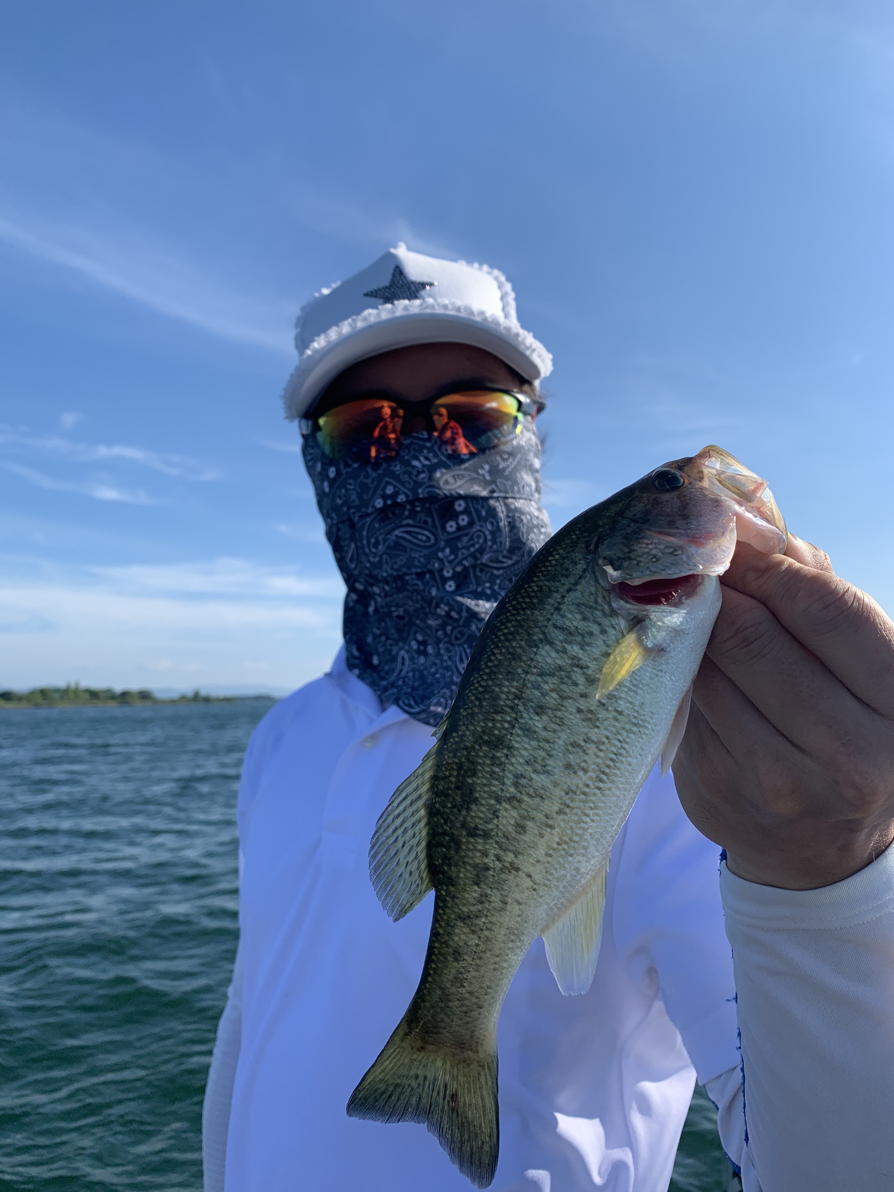 6639C1B2-DD04-4ACB-9669-58A15F691C5F