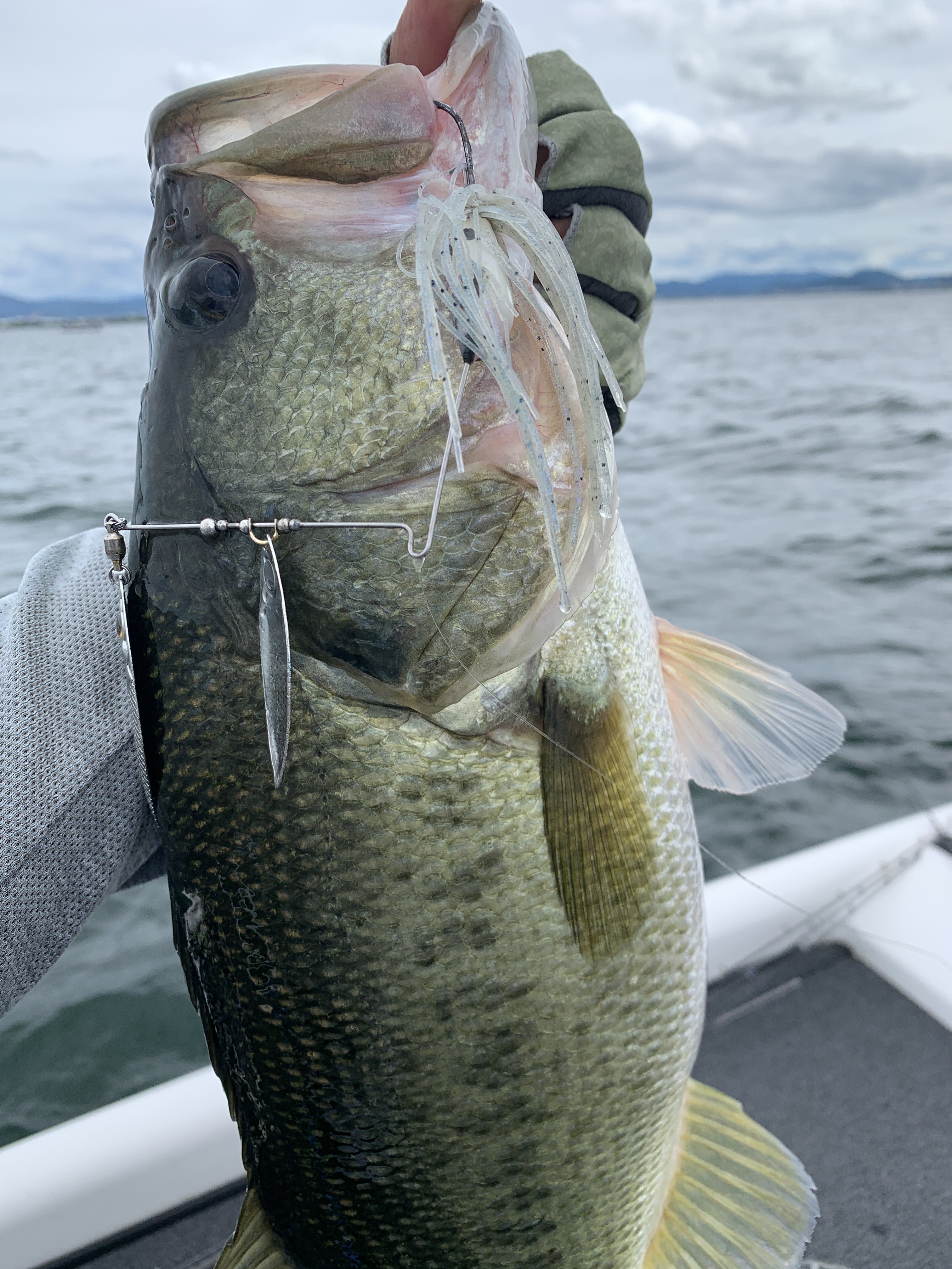 89685EFA-9156-4741-8F7F-0102F0078E26