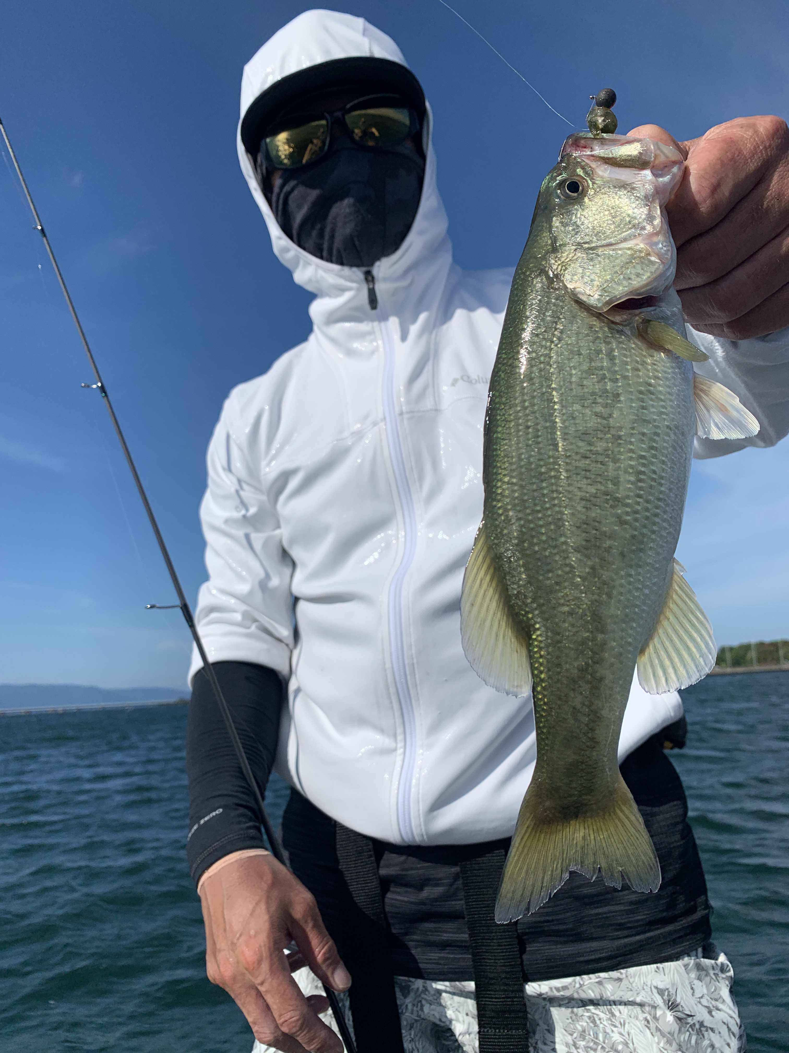 97DB7CAE-654B-41FD-8885-A790DF83A2FA