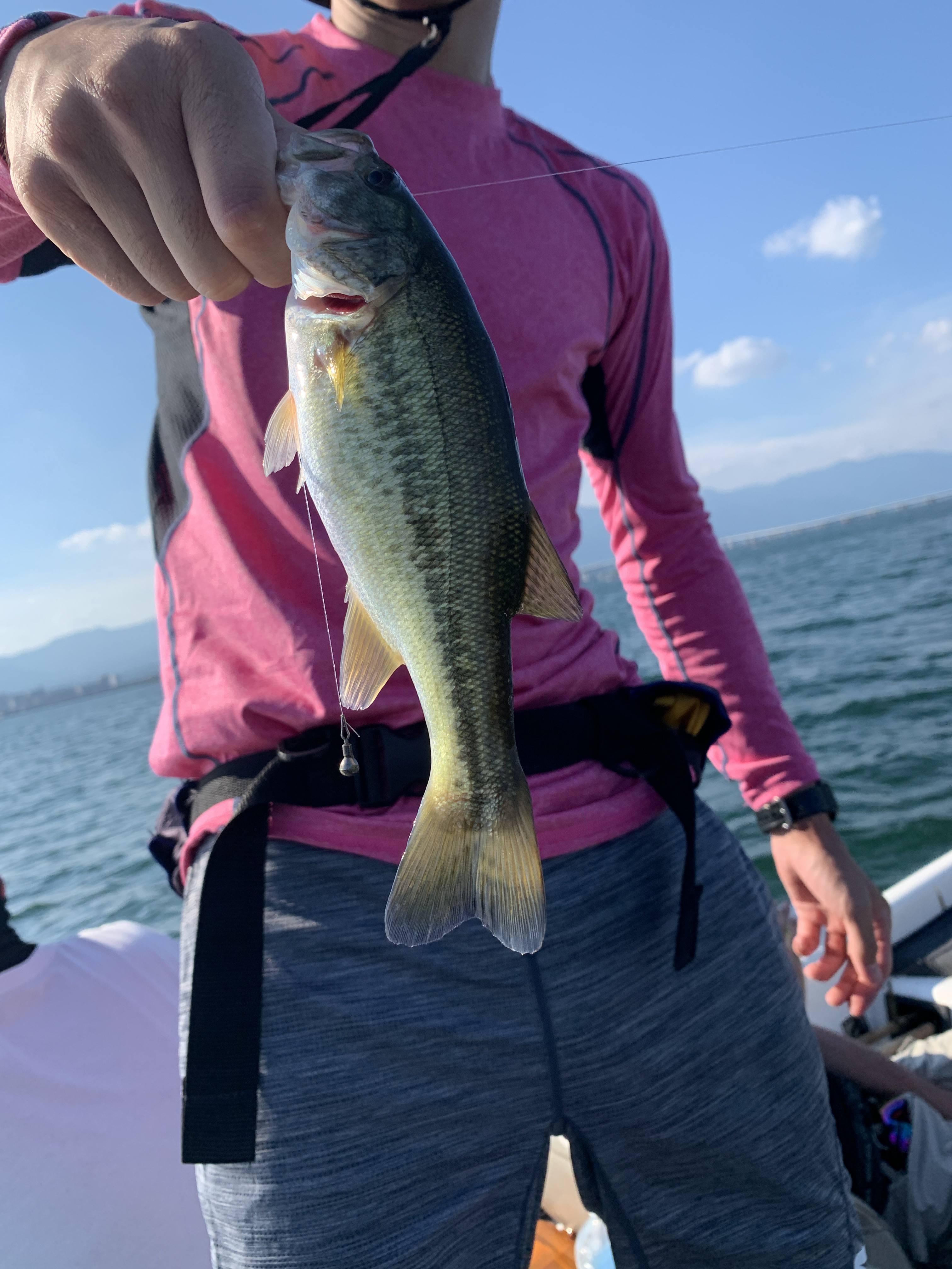 AC5913E8-BCC9-4A52-8ADF-92309B2DA837