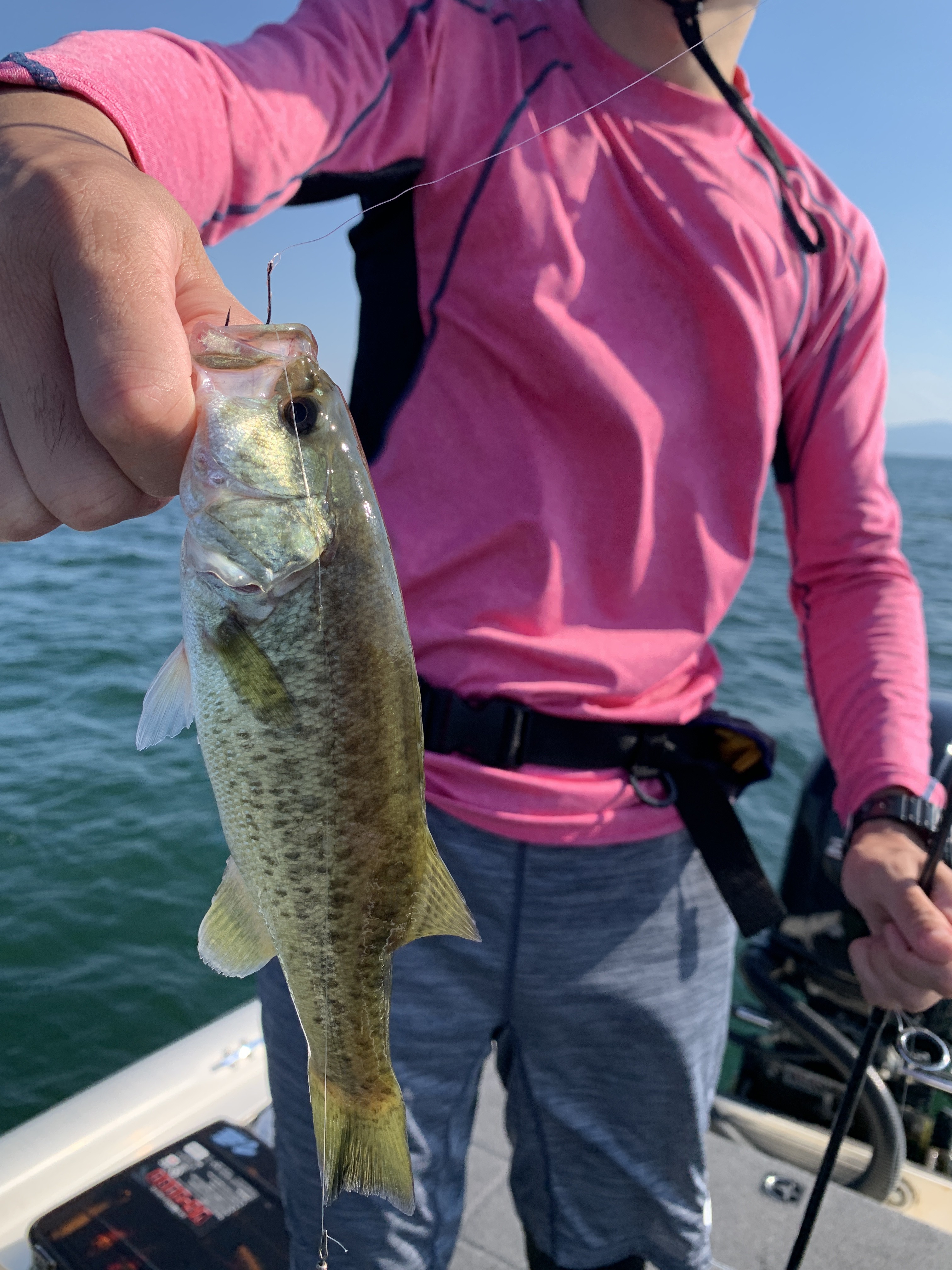 EABB1889-7A3C-441C-82D0-C2E9FC7419E9