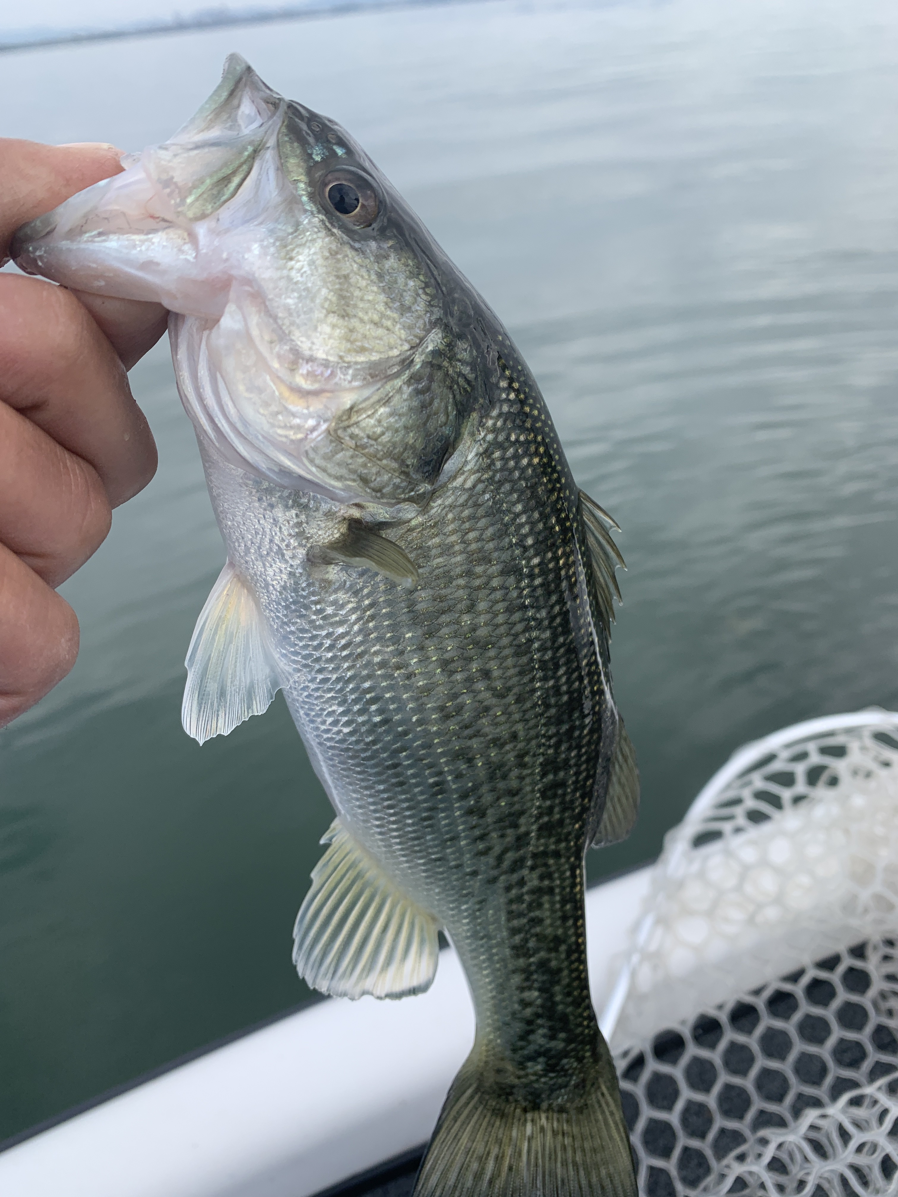 15CBE9DD-ADA8-4F9F-A241-E8AB88E572CD