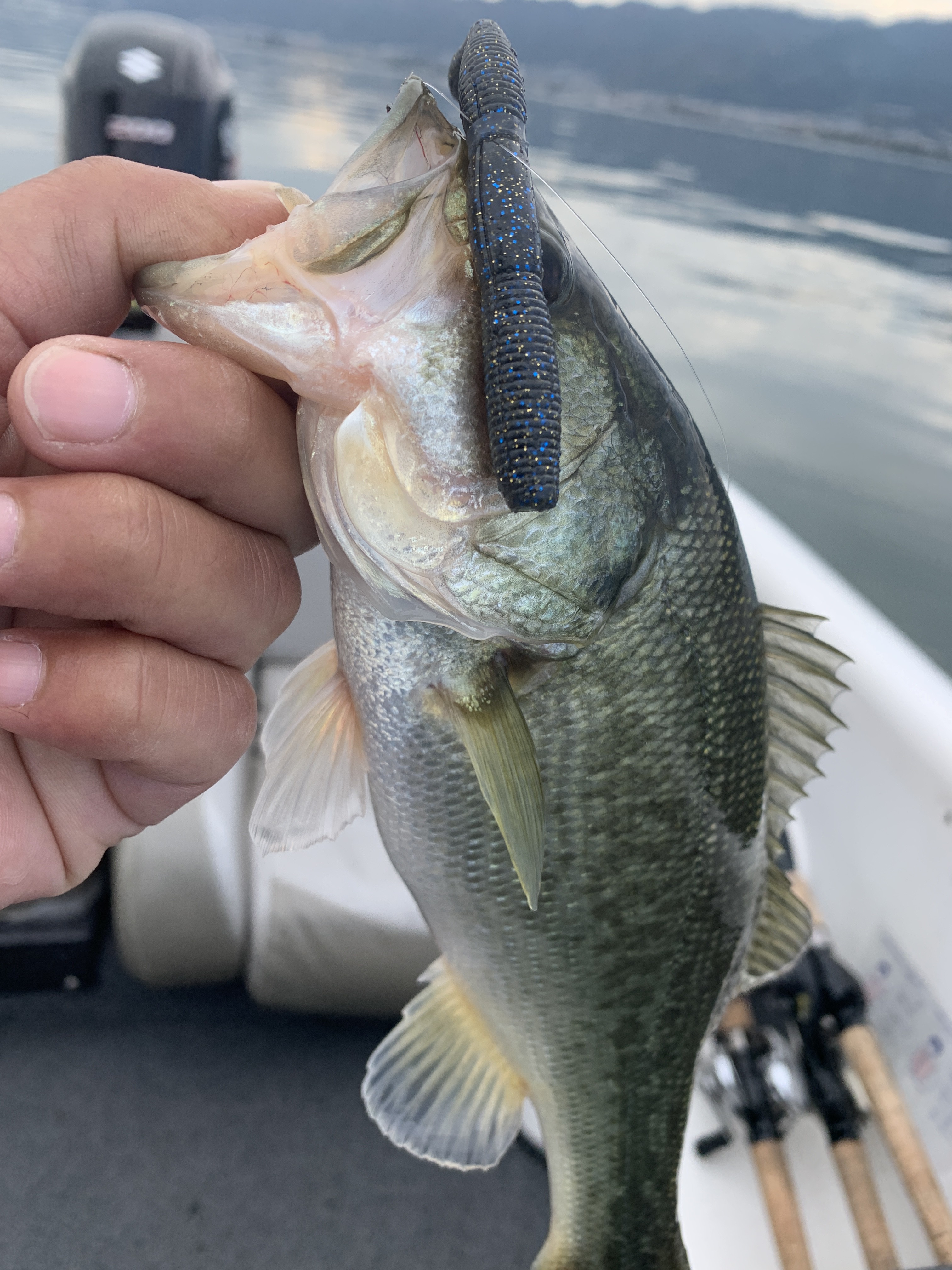 207C8EAF-A904-4812-9FF2-B826DEBB1264