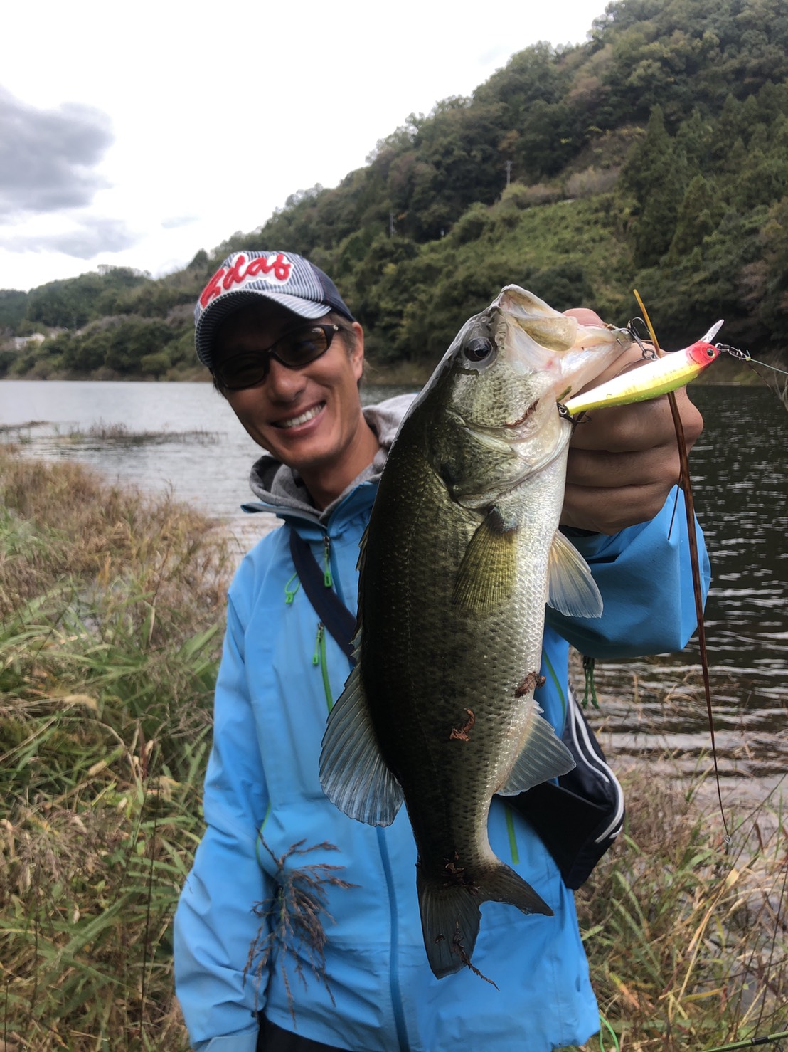 333081A4-1D78-4A91-B999-13A916B87D8F