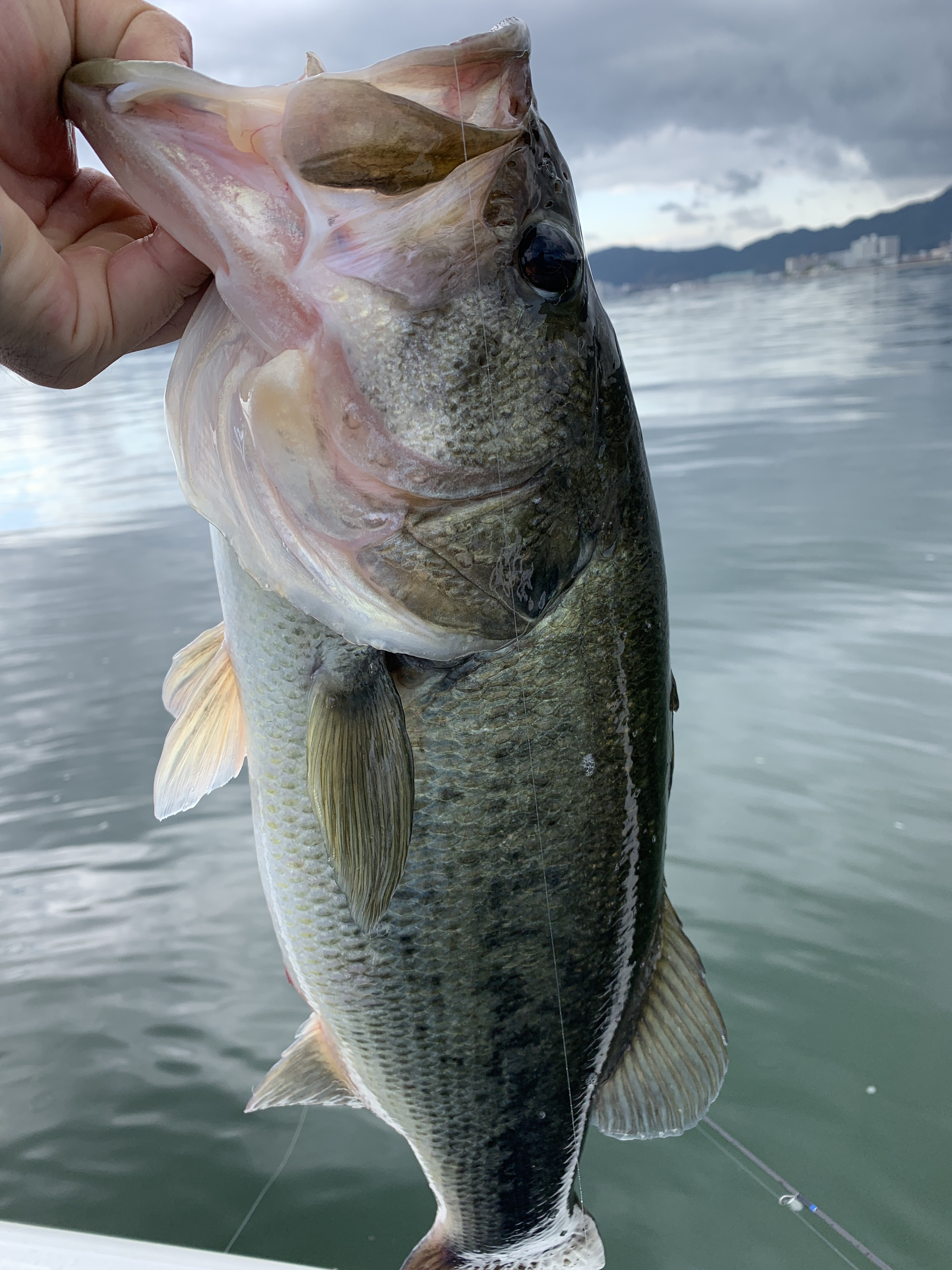 4EA287E8-1447-475A-B23A-4FC0644E06AB