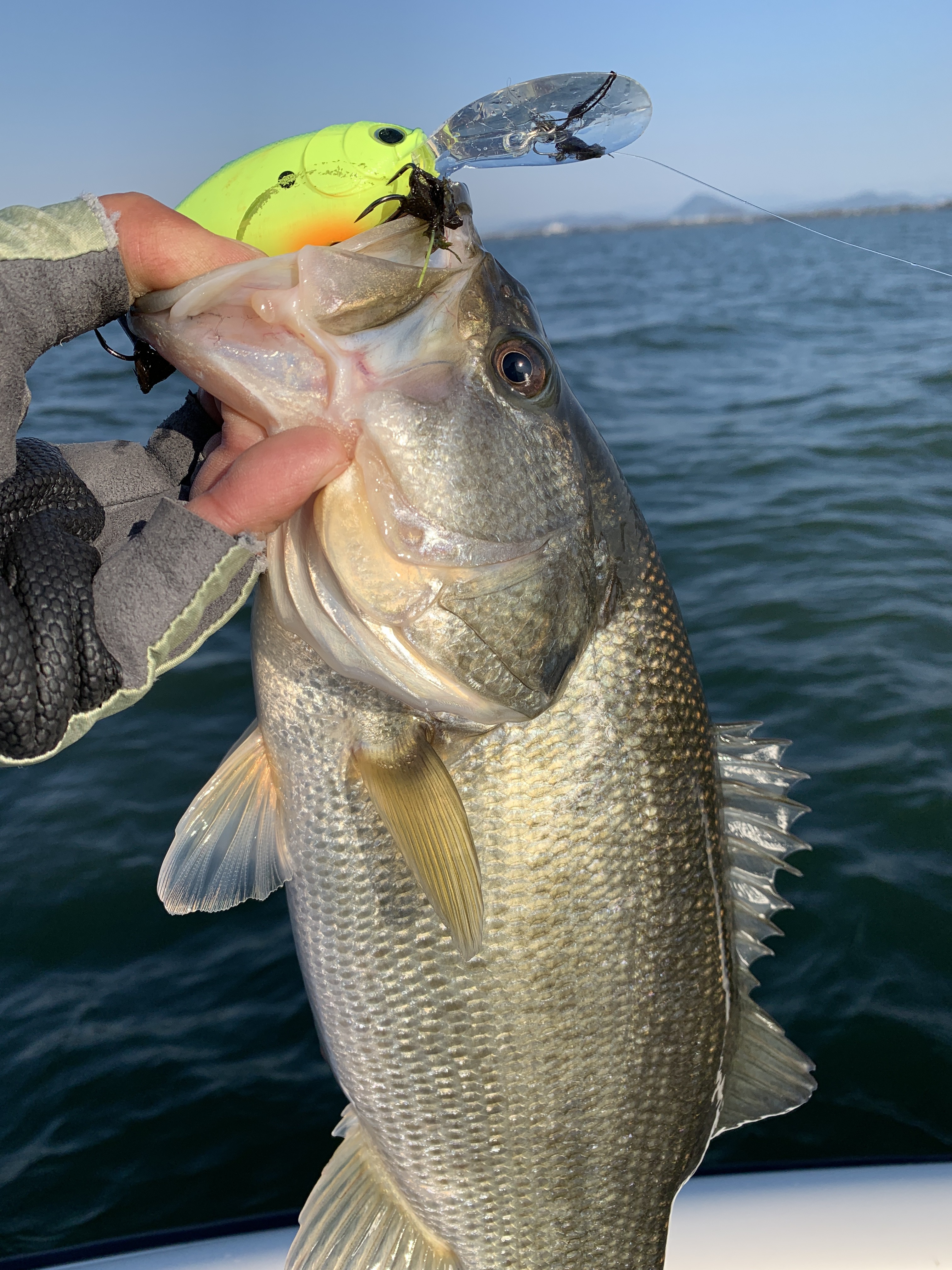 5CF6B6E7-F2F7-4226-9355-7DC61045323C