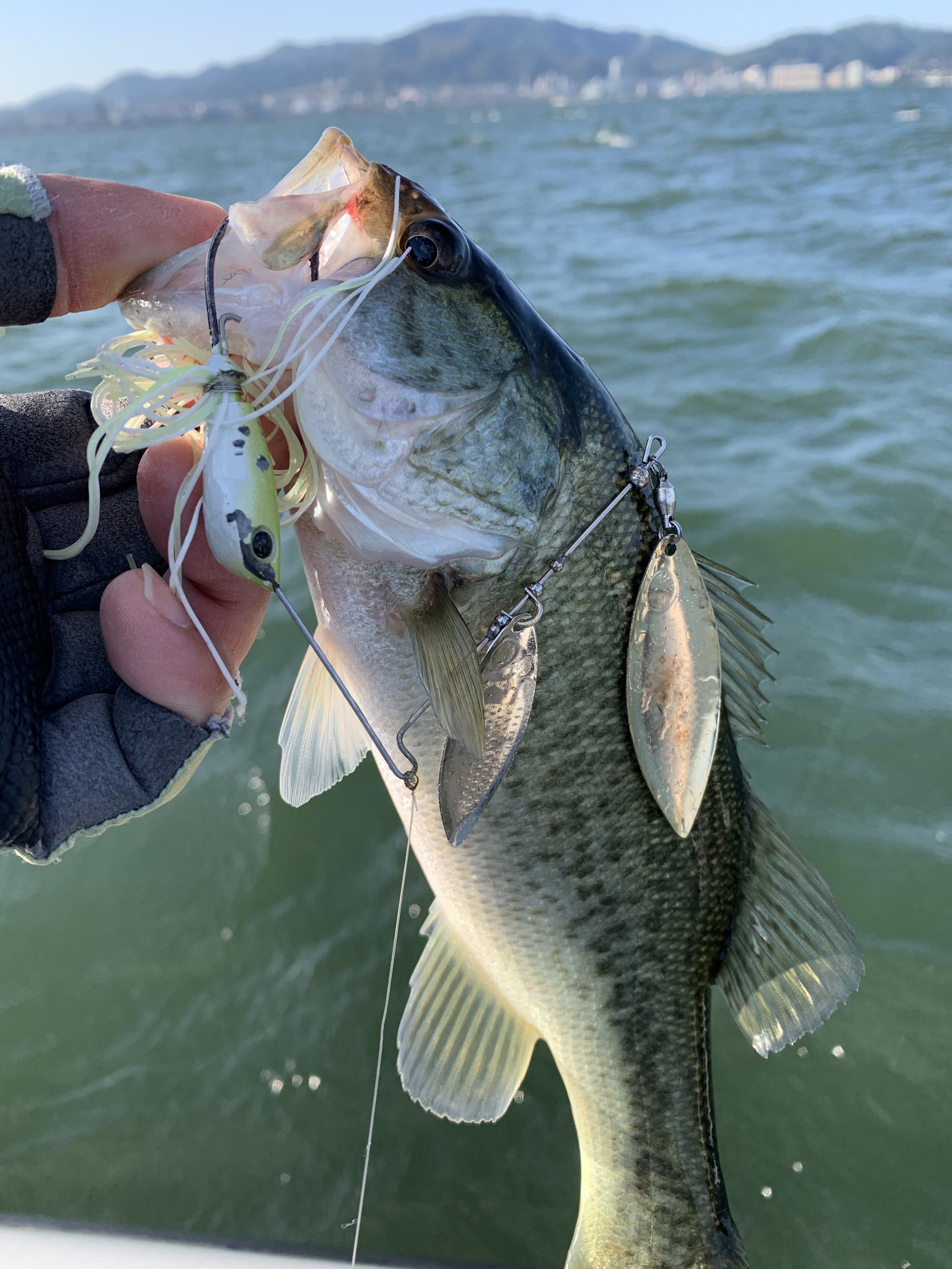 63246DAD-A397-466E-8C68-C77CFDBC8FCA