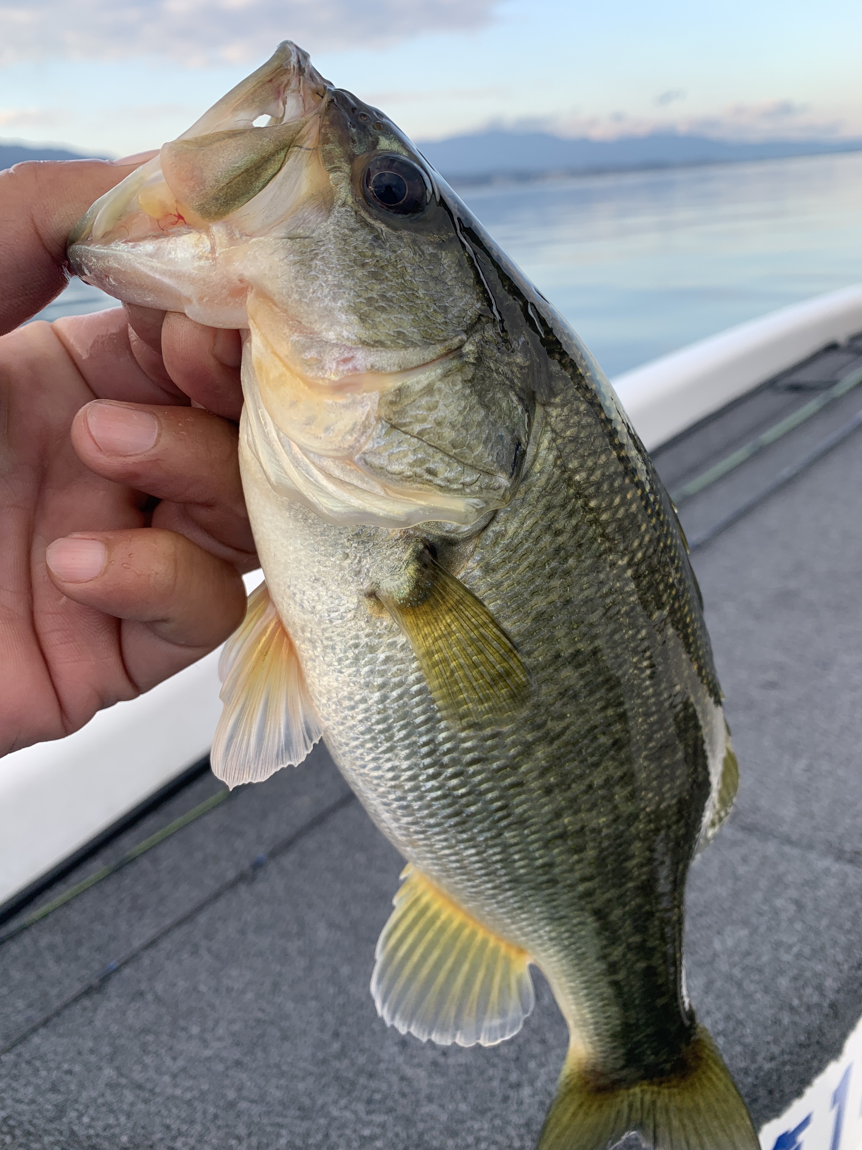 8641725D-1056-4338-909D-2C09A45D01B3