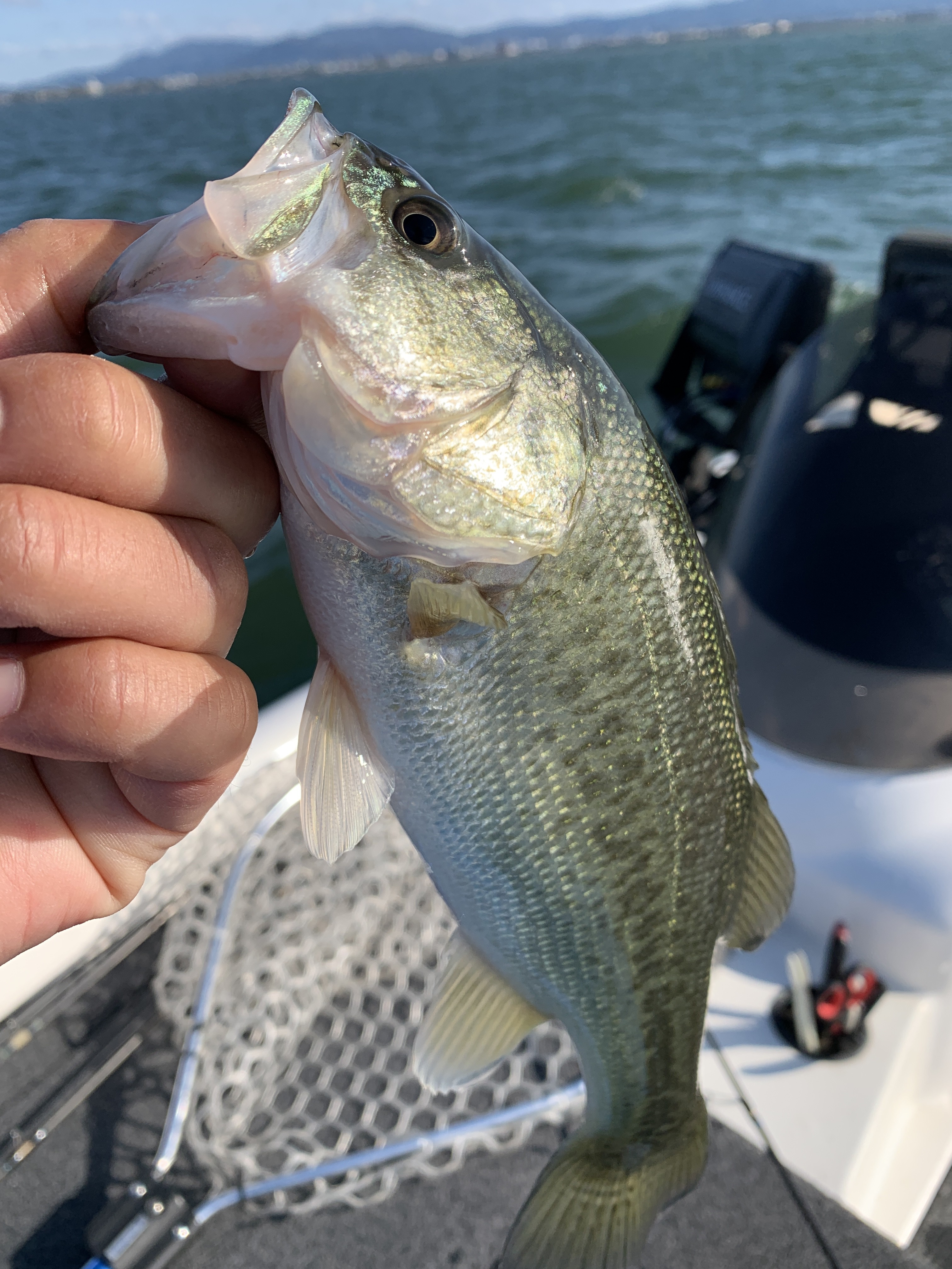 97530B3A-BAD8-4C5D-B731-52A74A0581A9