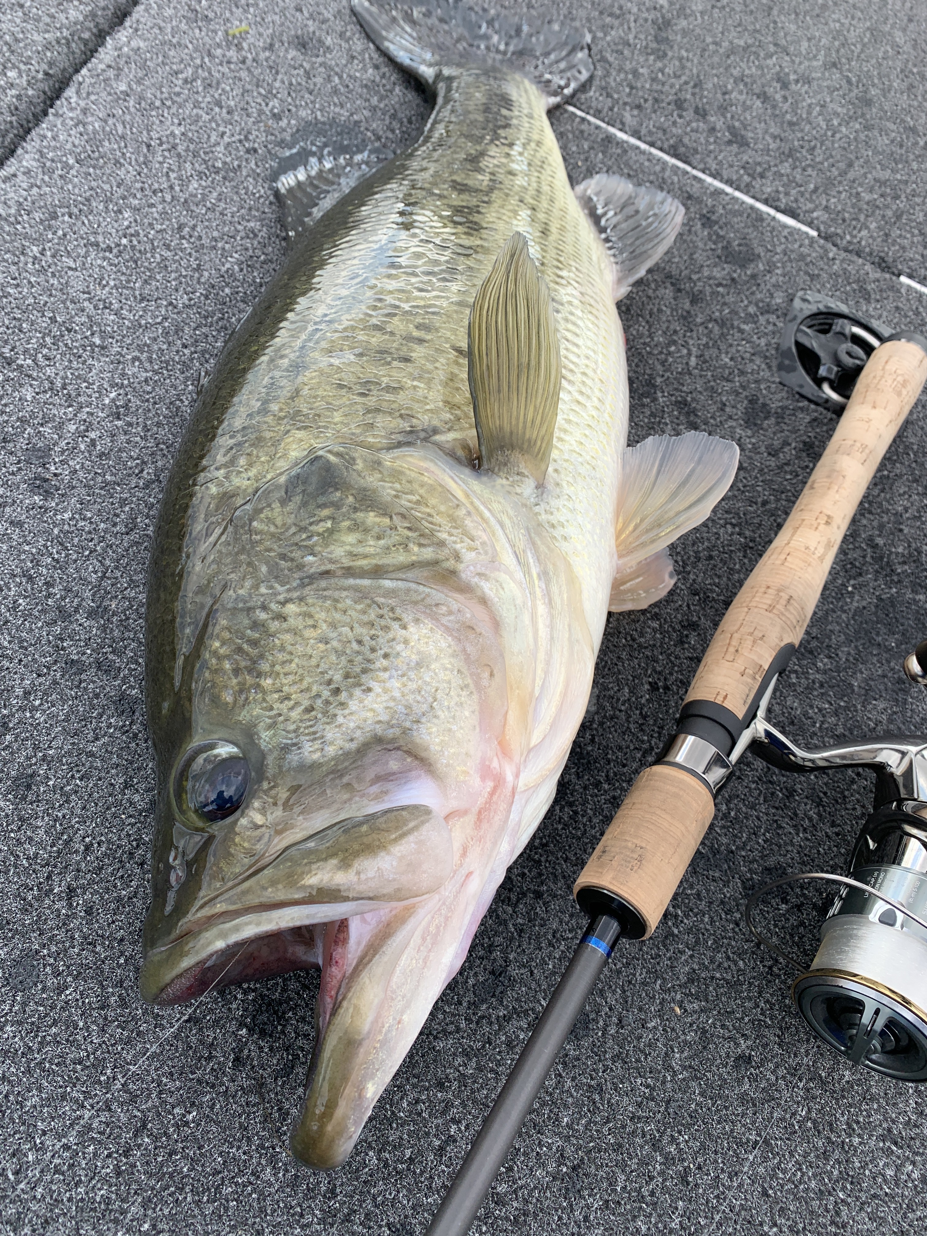 B3F2FFB7-F685-46CD-94DE-0E56FE373687