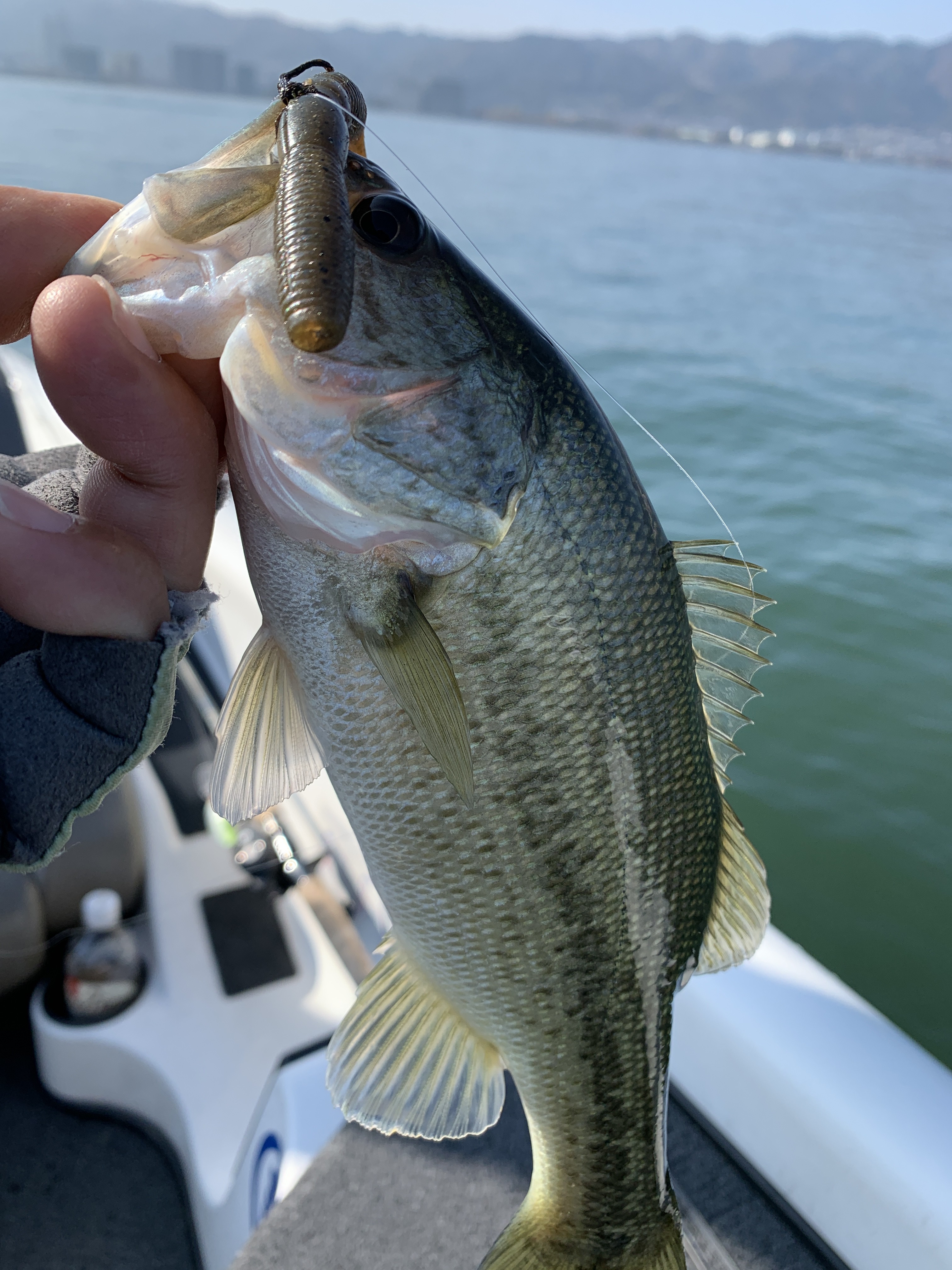 D0B43E4F-D414-416B-9B9D-7CBFF08C5538