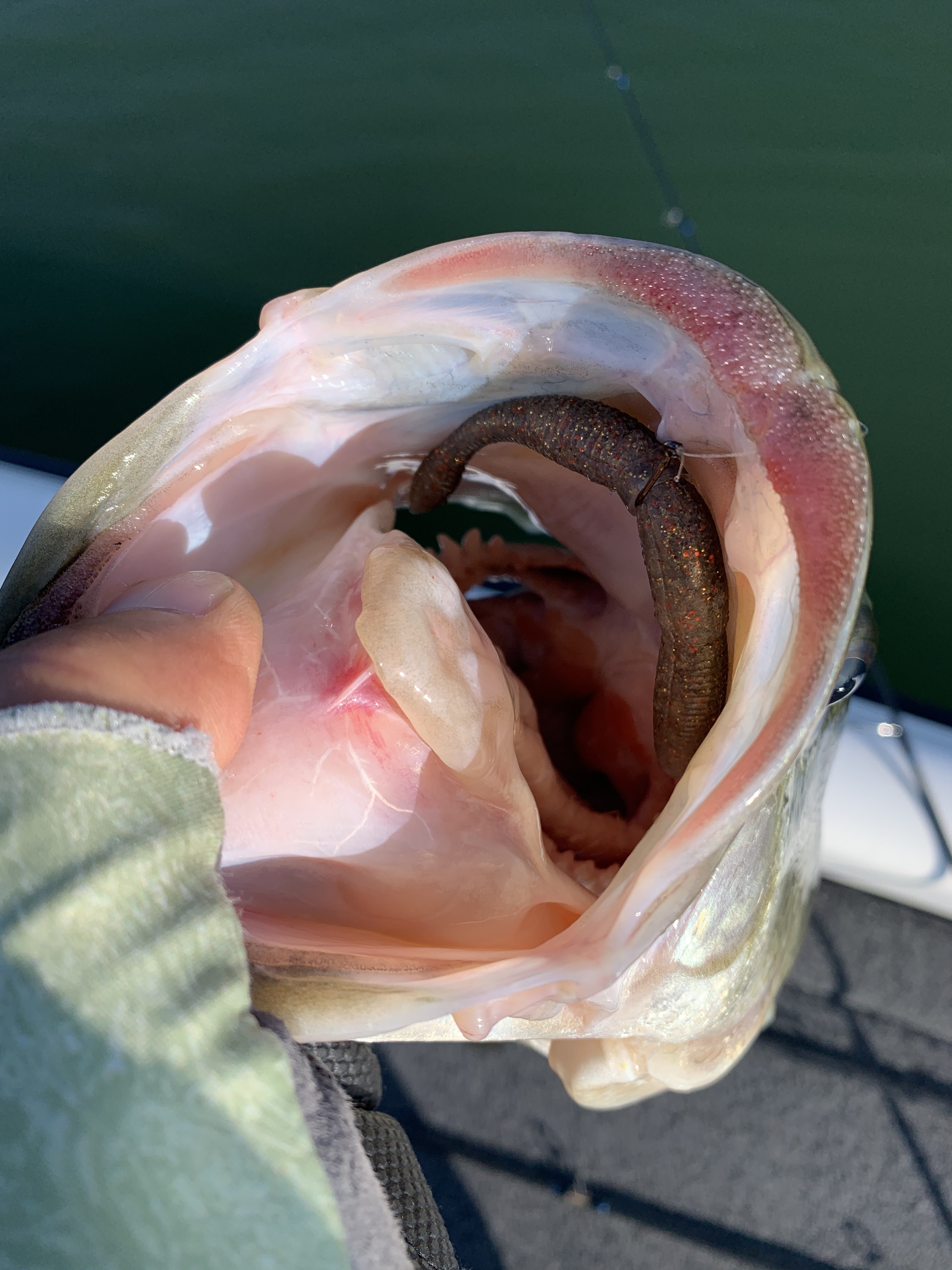 D40896D6-4FDF-42D7-9D2A-C770FB1F90C3