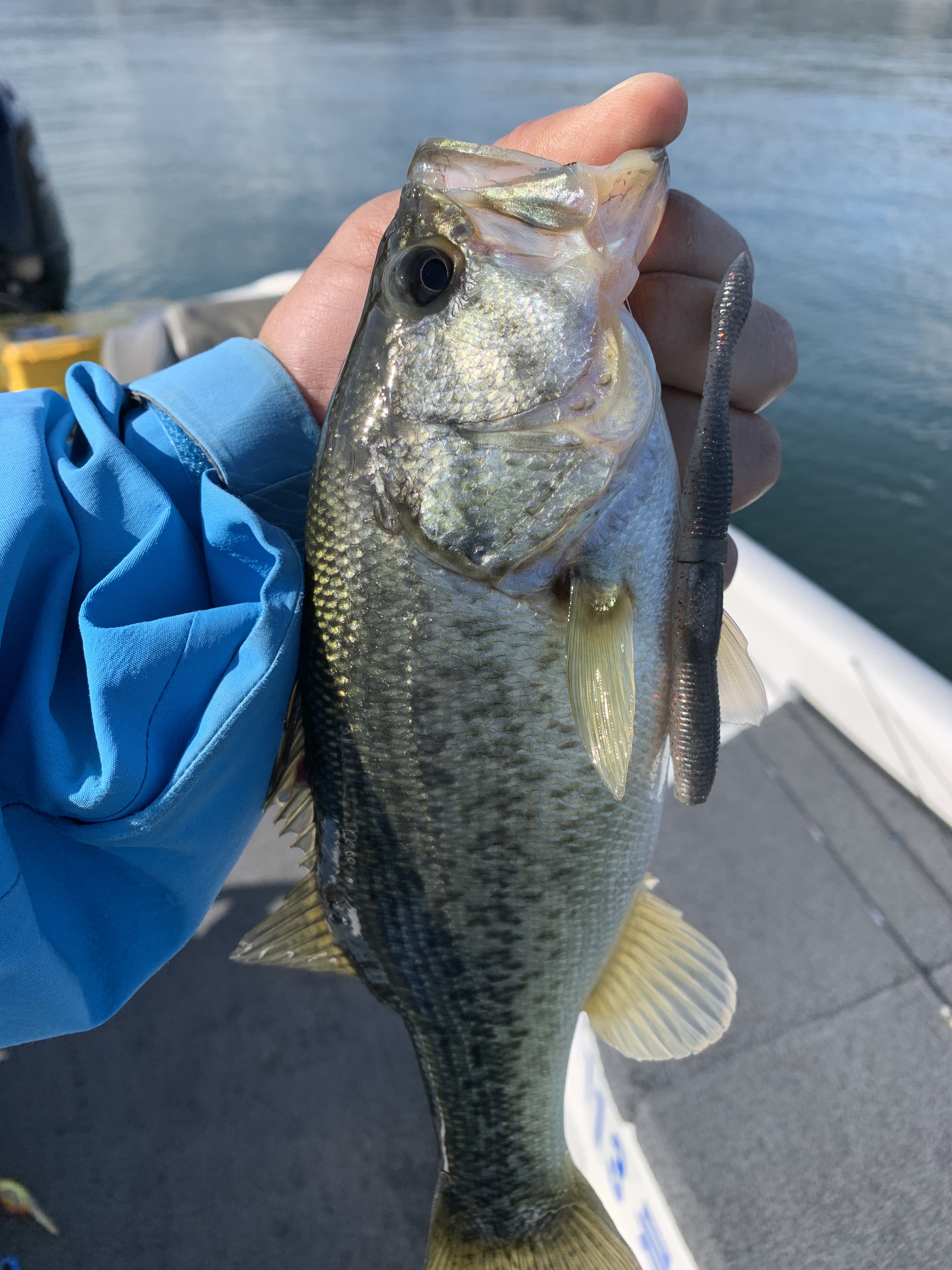 D4FCC122-8F8A-4418-B275-7C213A3E067B