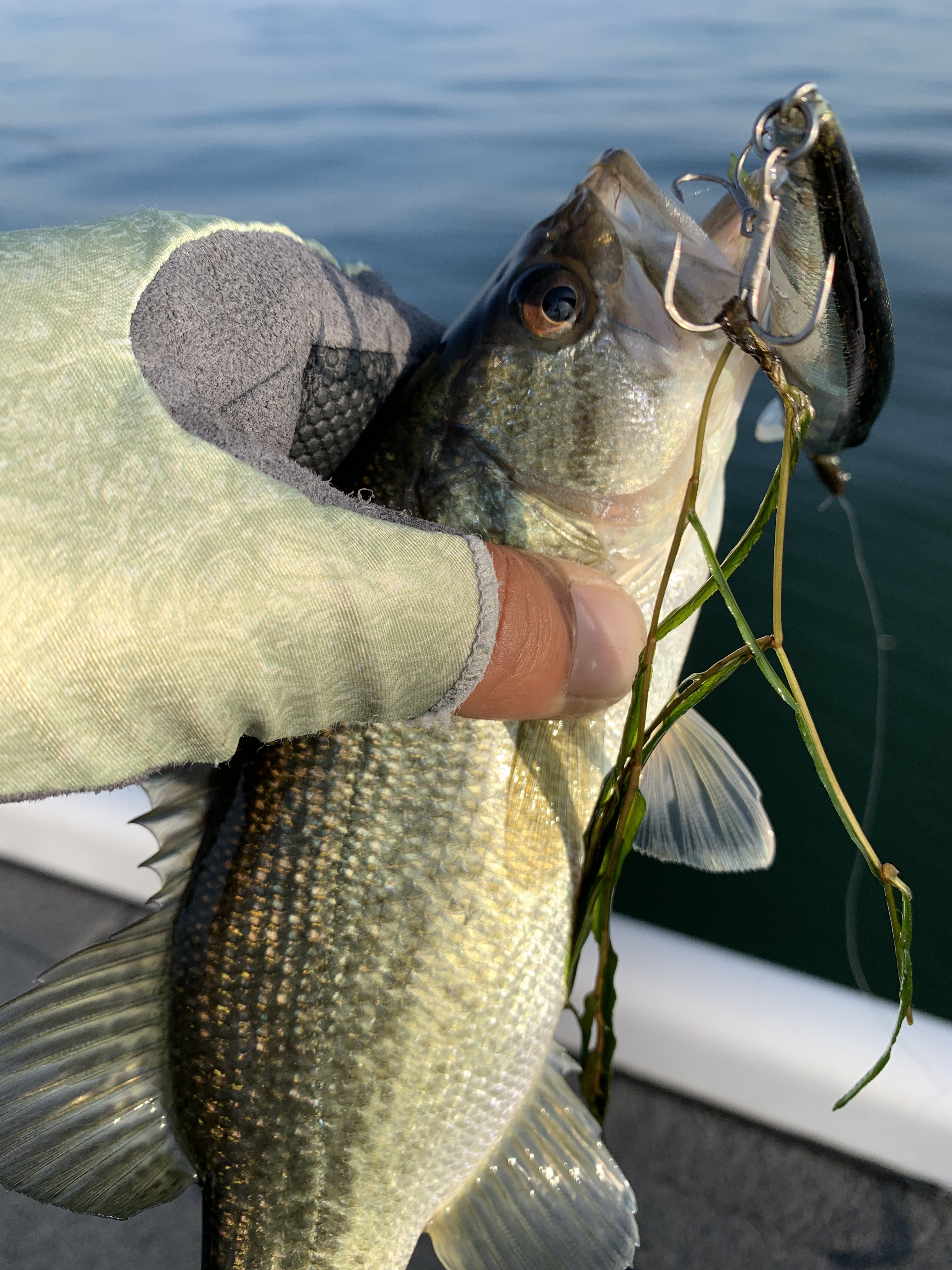 D5D67E36-8340-48D6-B2B8-8264AFAF1C87