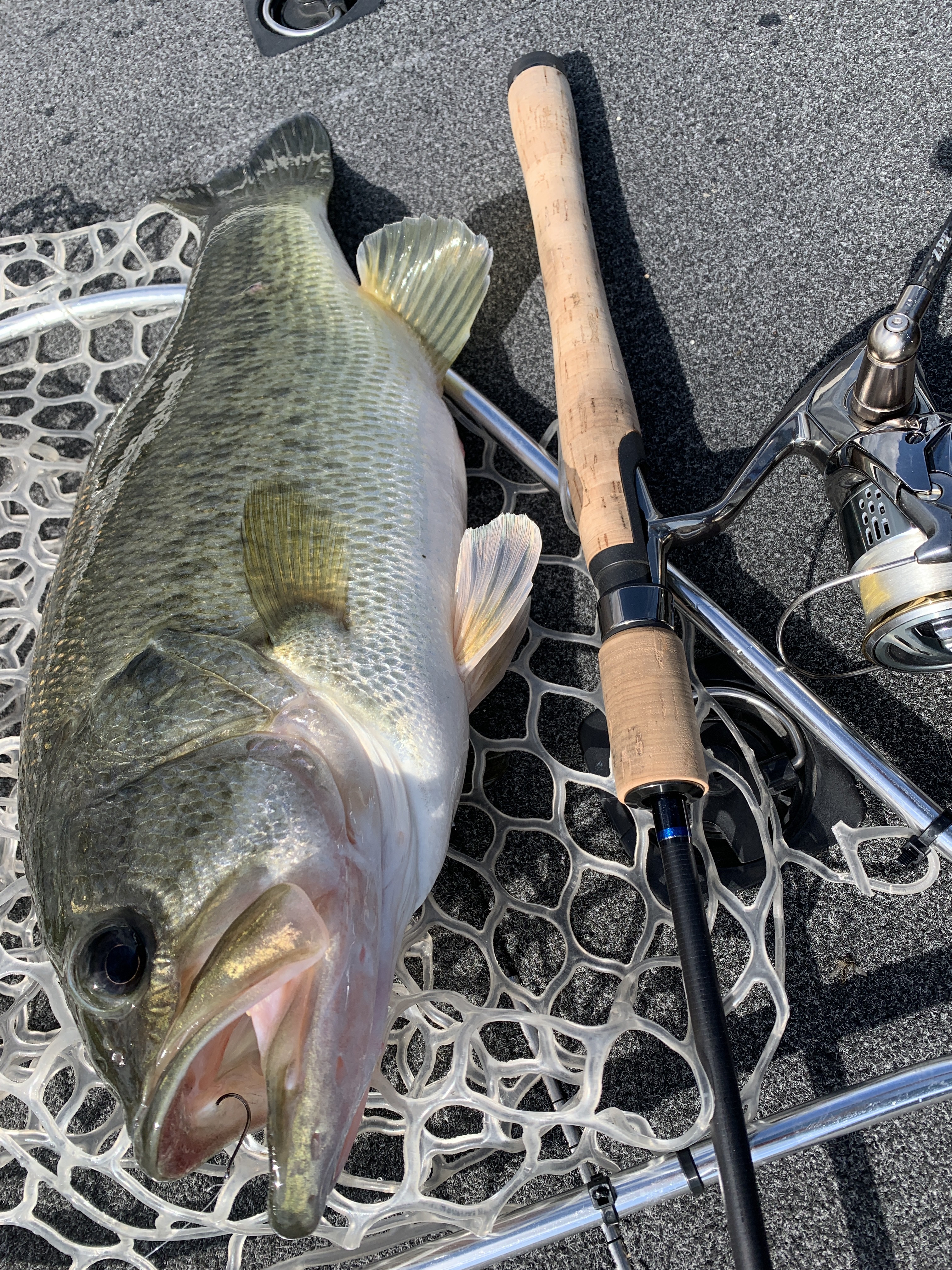 E9B1D897-47AE-4A35-B98E-B15462DB2486