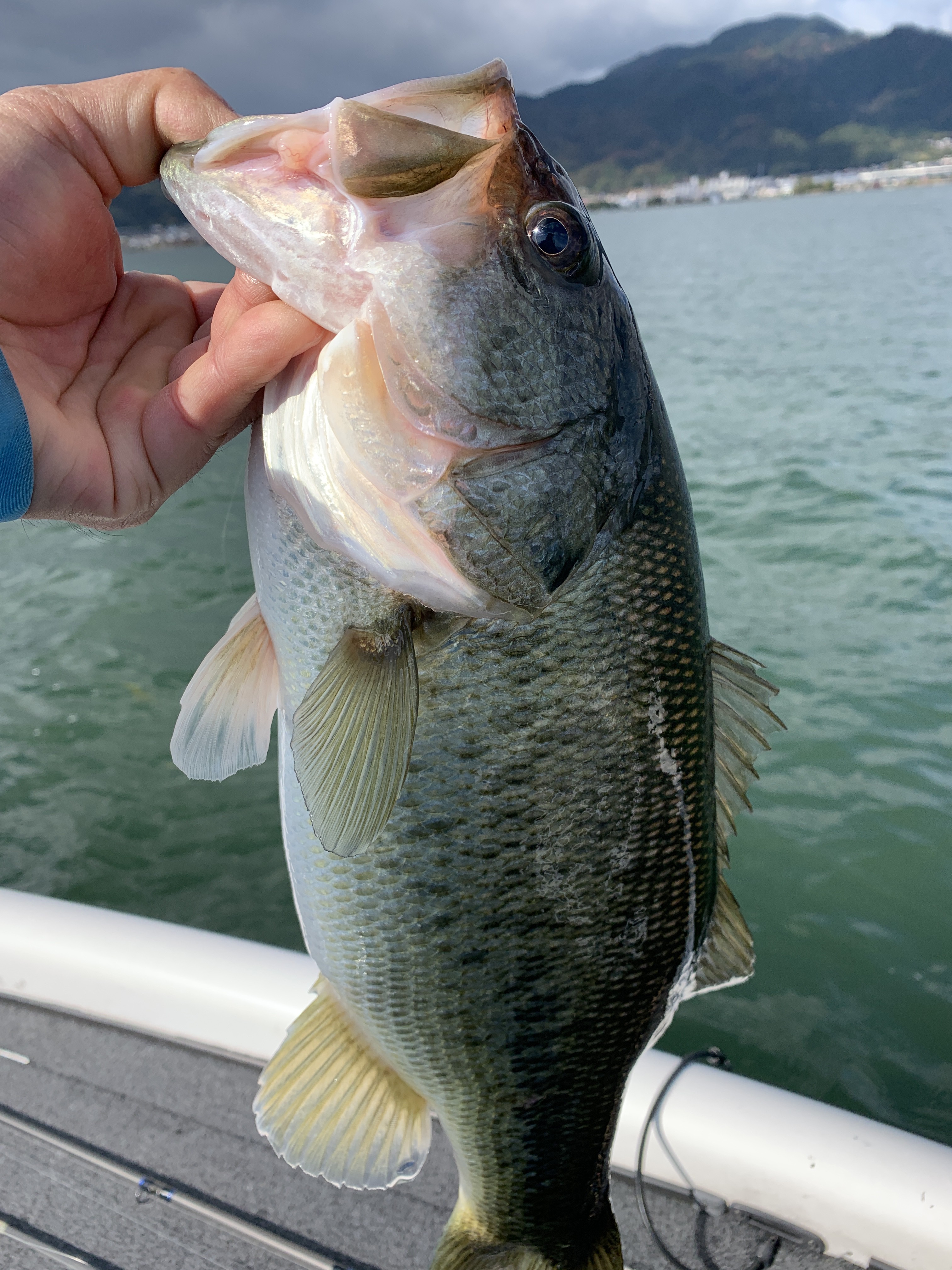 F119AB2A-A615-4917-AA7A-2220F6D02C2F