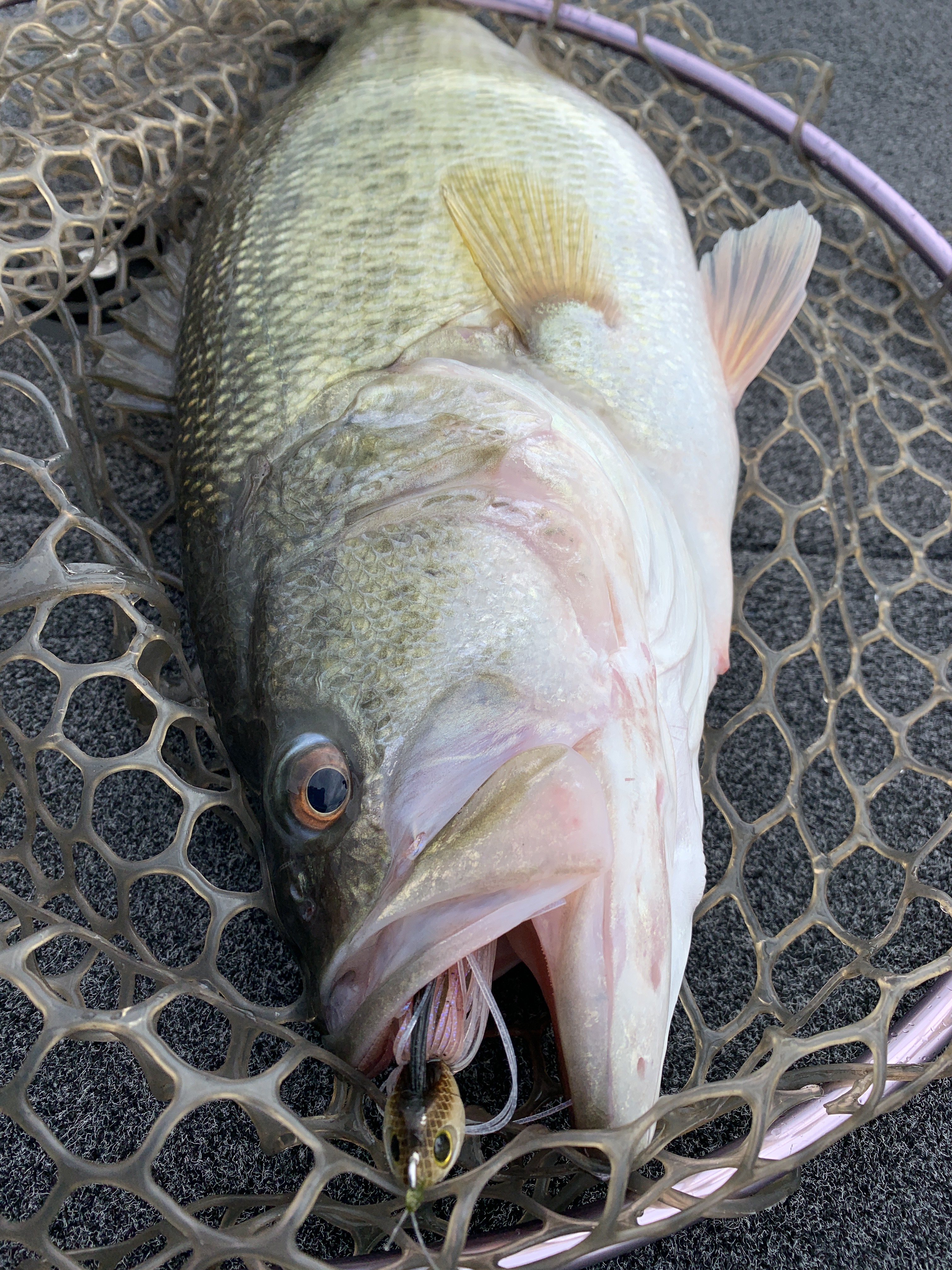 03FFBD4C-3393-4375-8898-6BE78814E1AD