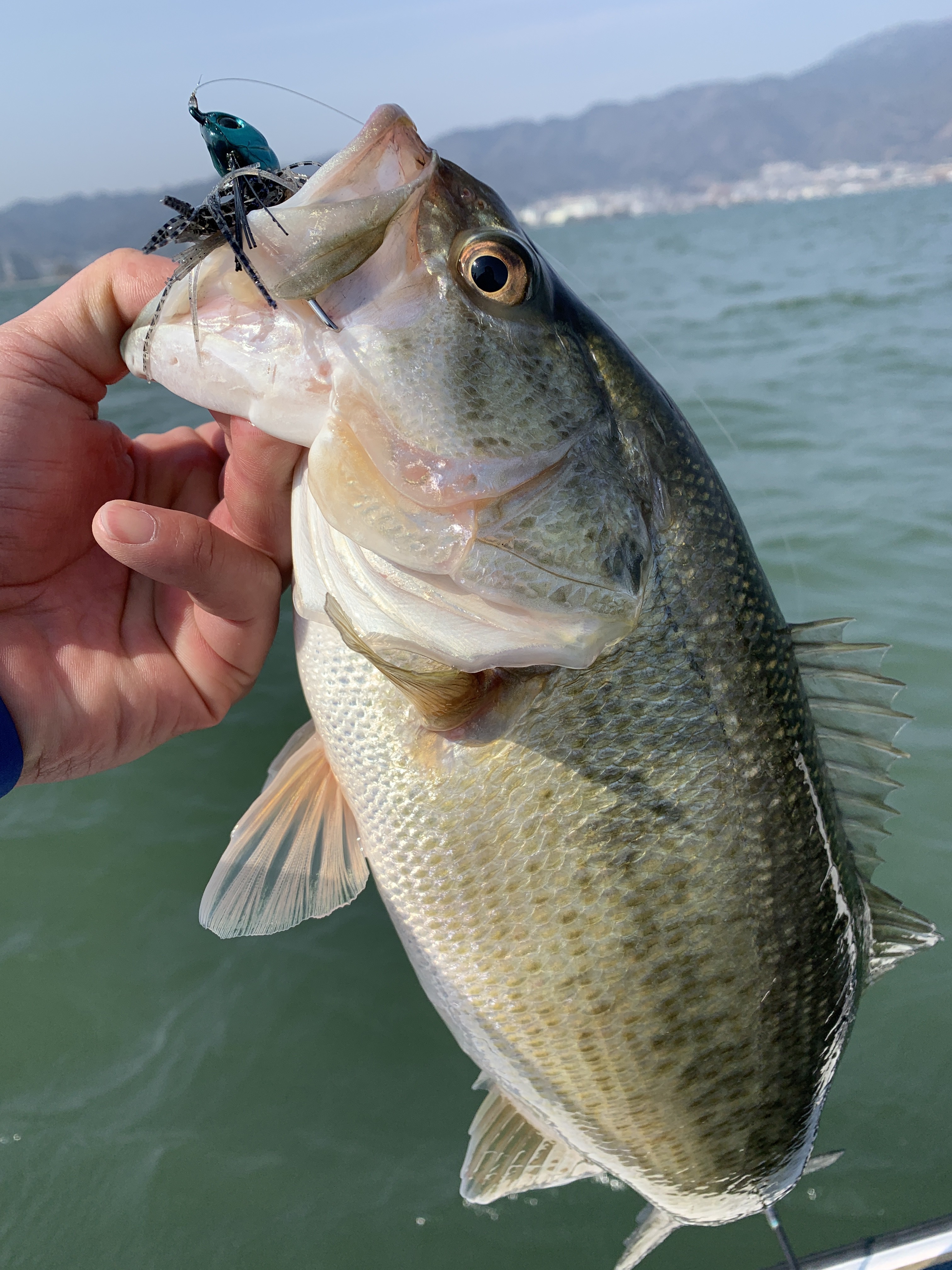 0A181CFE-7A23-4BF4-A73C-57E3283F2DED