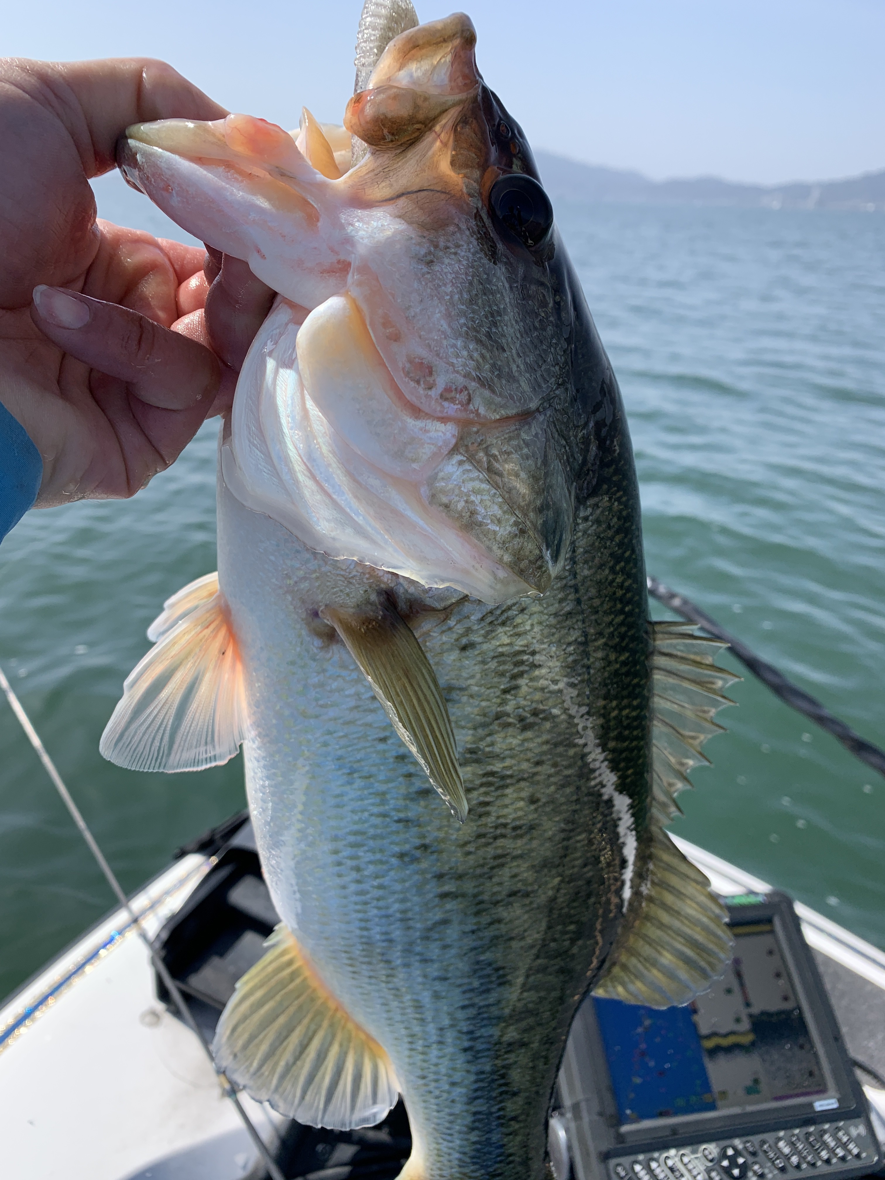 10D047AA-C812-47E1-8209-61169CB2ABDB