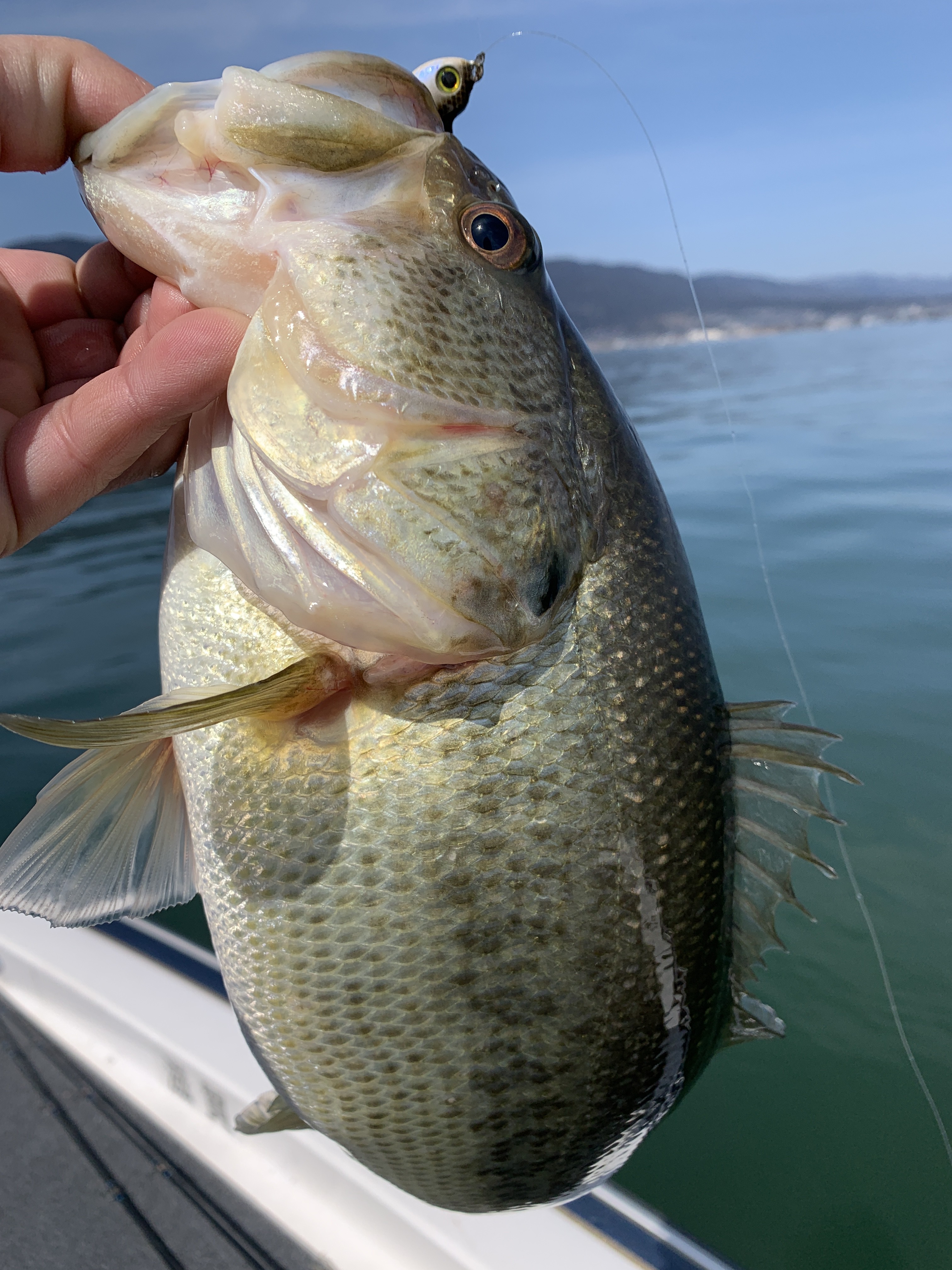 267618D0-679F-4995-A404-39C806BD3E6E