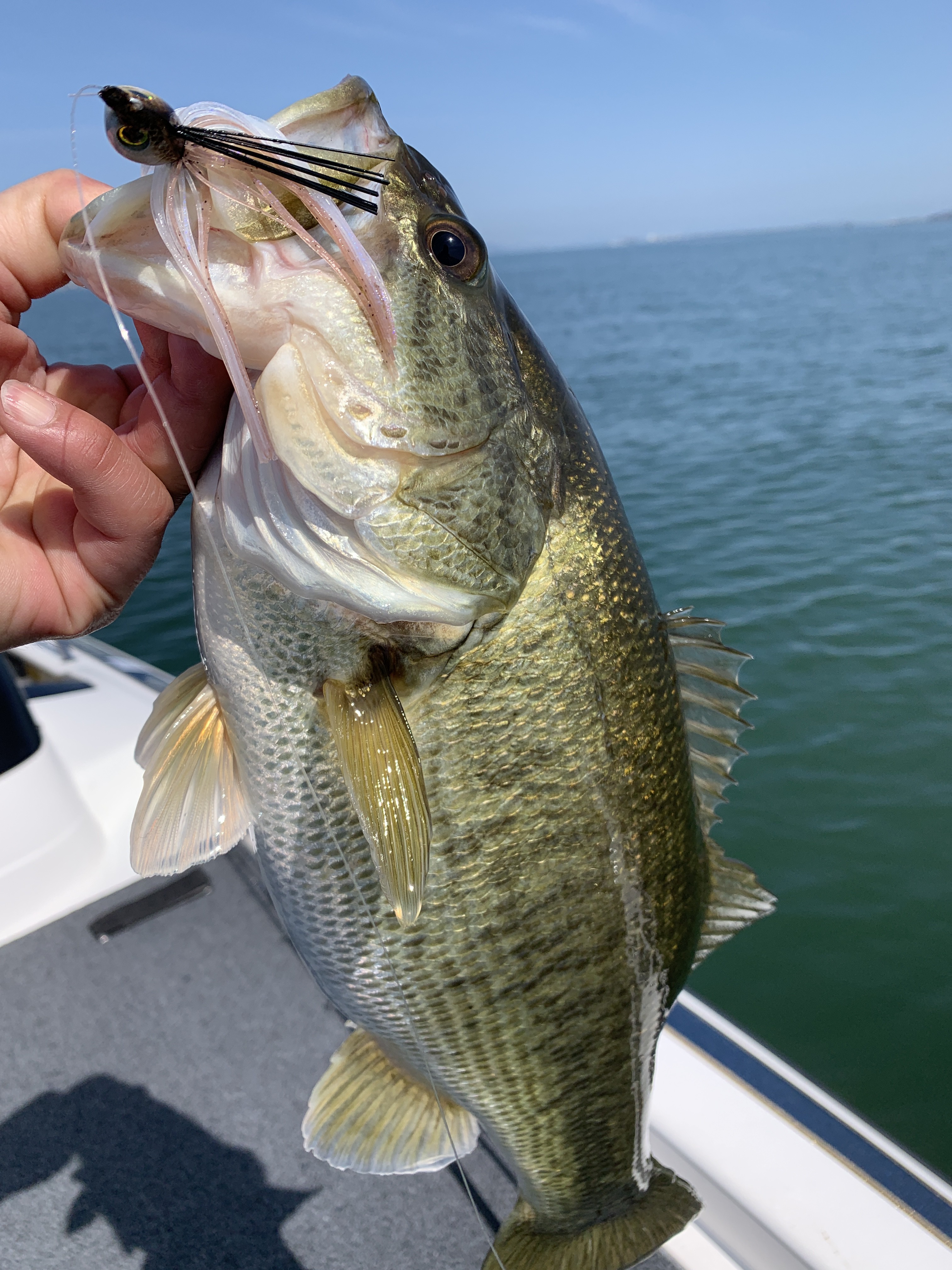 3007050C-0EAB-4C20-B2F6-5B92D6E1EEEE