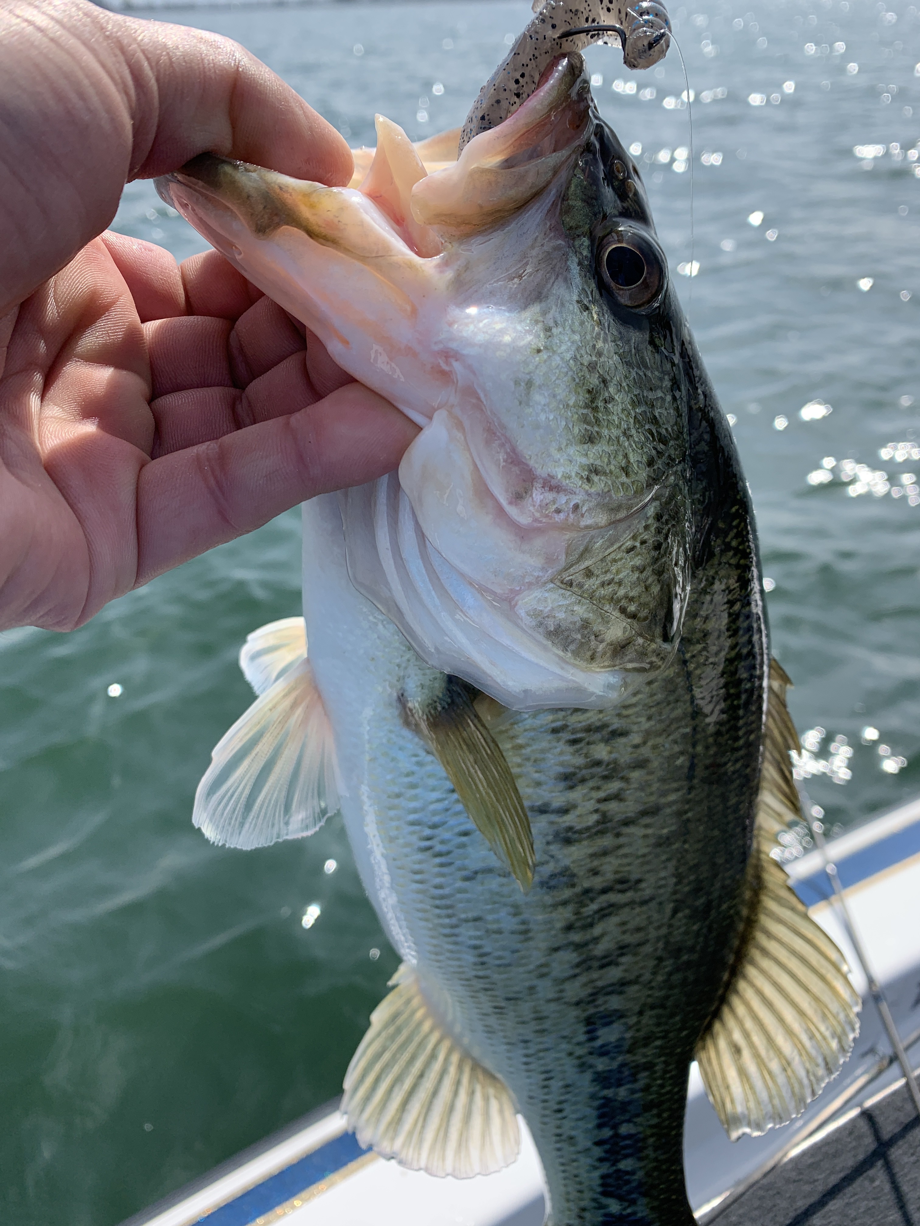 4D9C5277-7074-4E41-A08A-98945E84D4B2