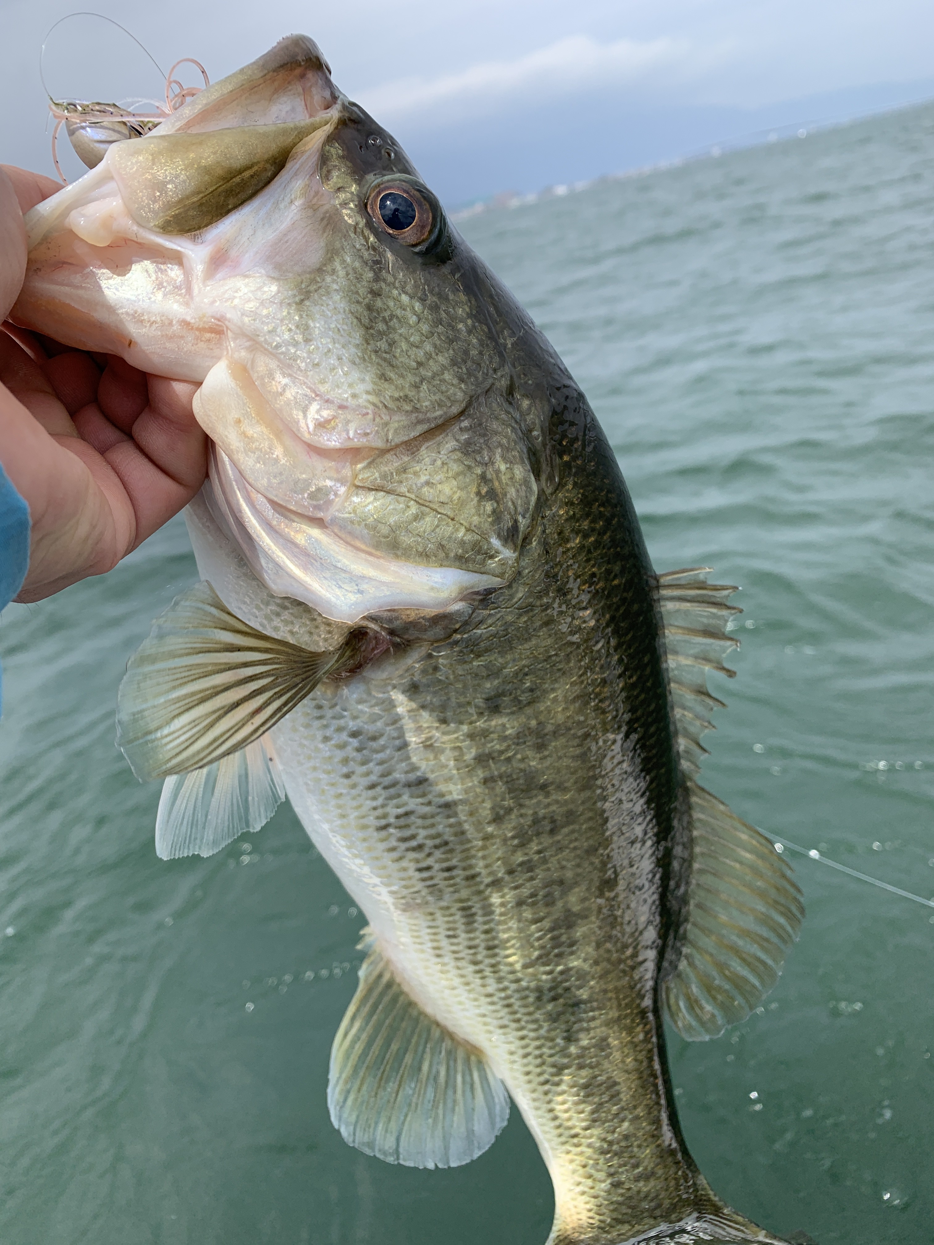 709DD5DE-B510-4851-BB91-F01936FFB0CD