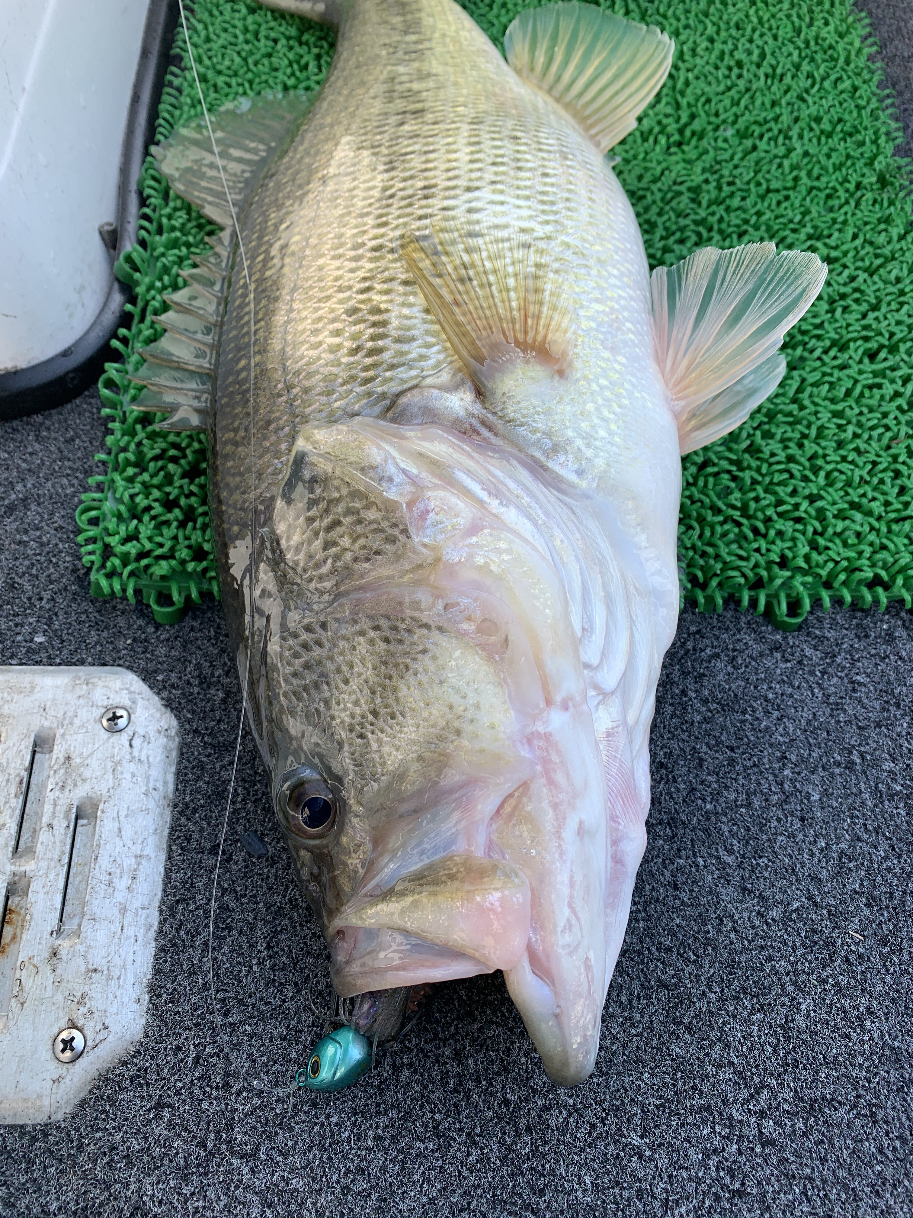 798B06A8-DE20-4C13-BB15-86D9A5BB3275