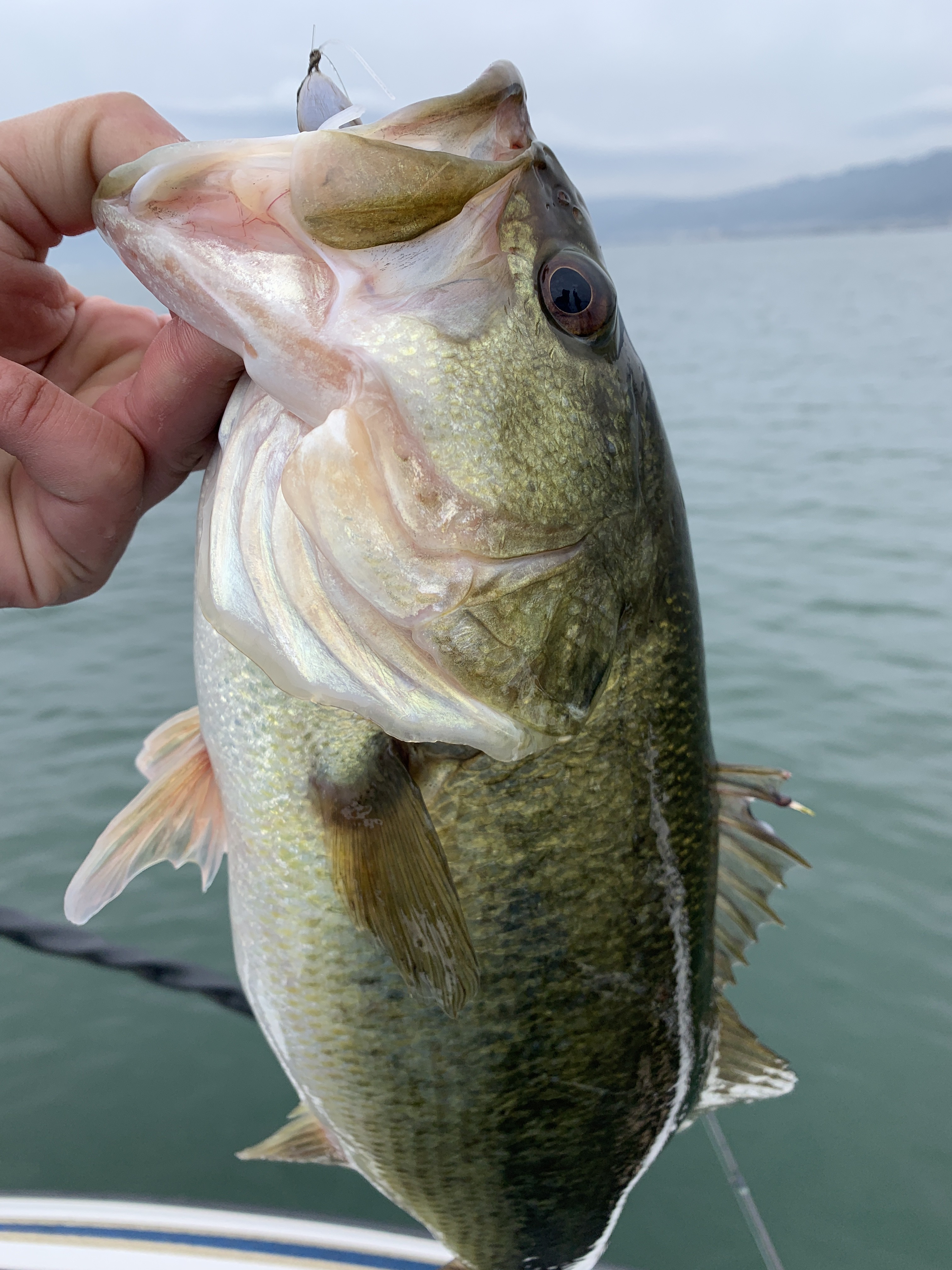 9A614AF0-D205-4E8A-A2DB-2C90D4A34B95