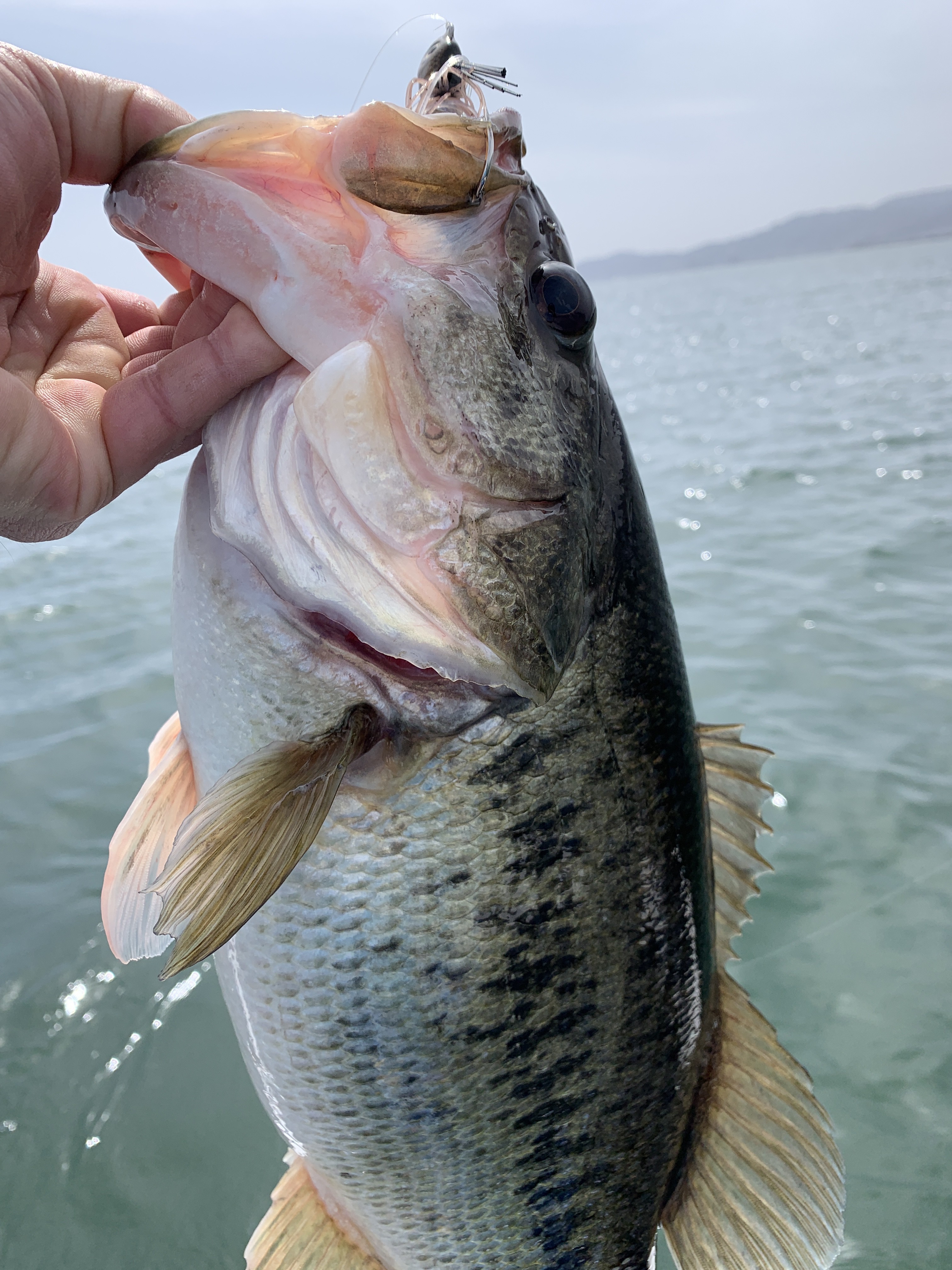 B86BE49C-0A72-466E-9E04-3571A7A20280