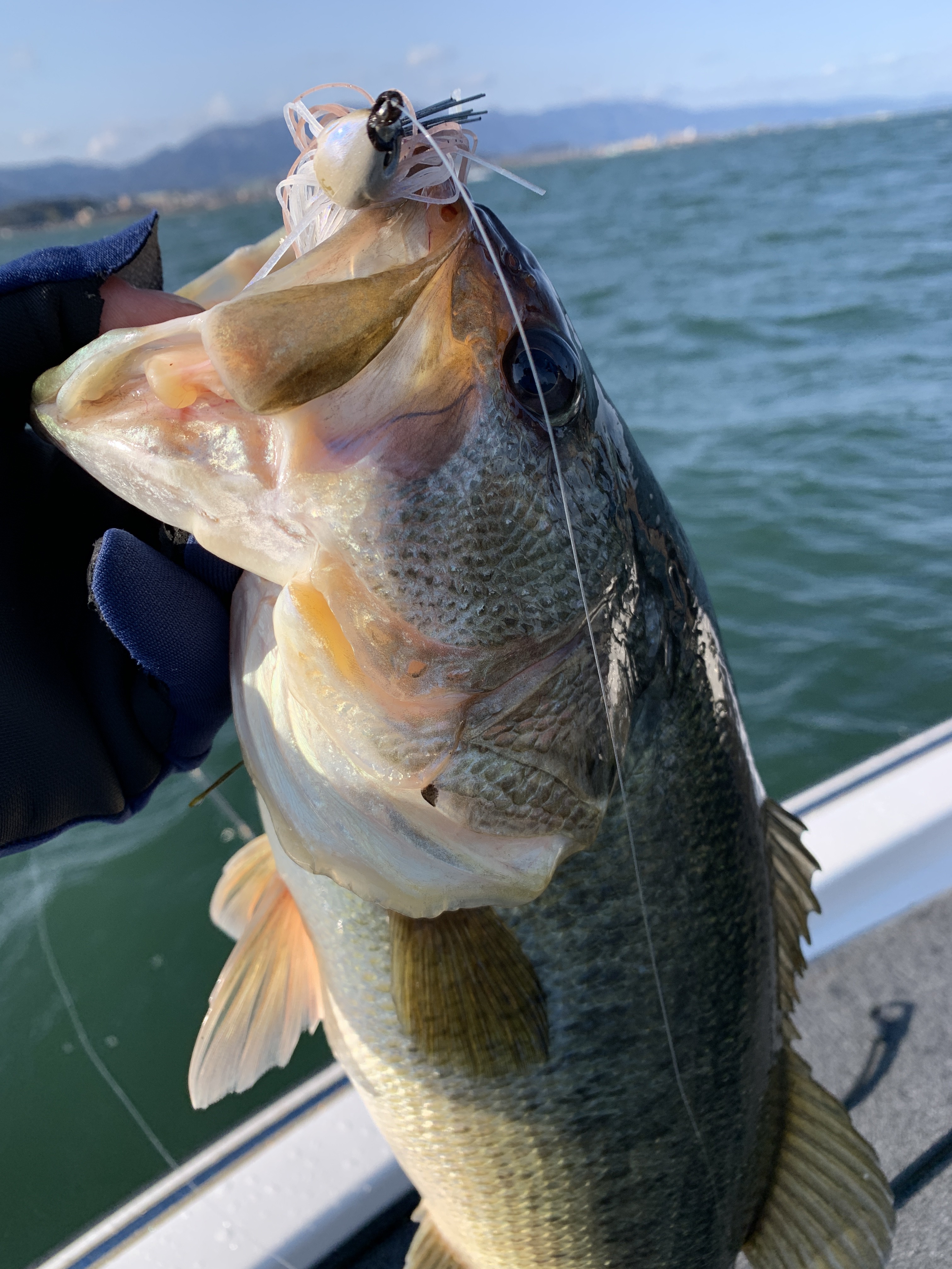 D0EBD09E-FF12-458E-8326-4C8A4D439F63