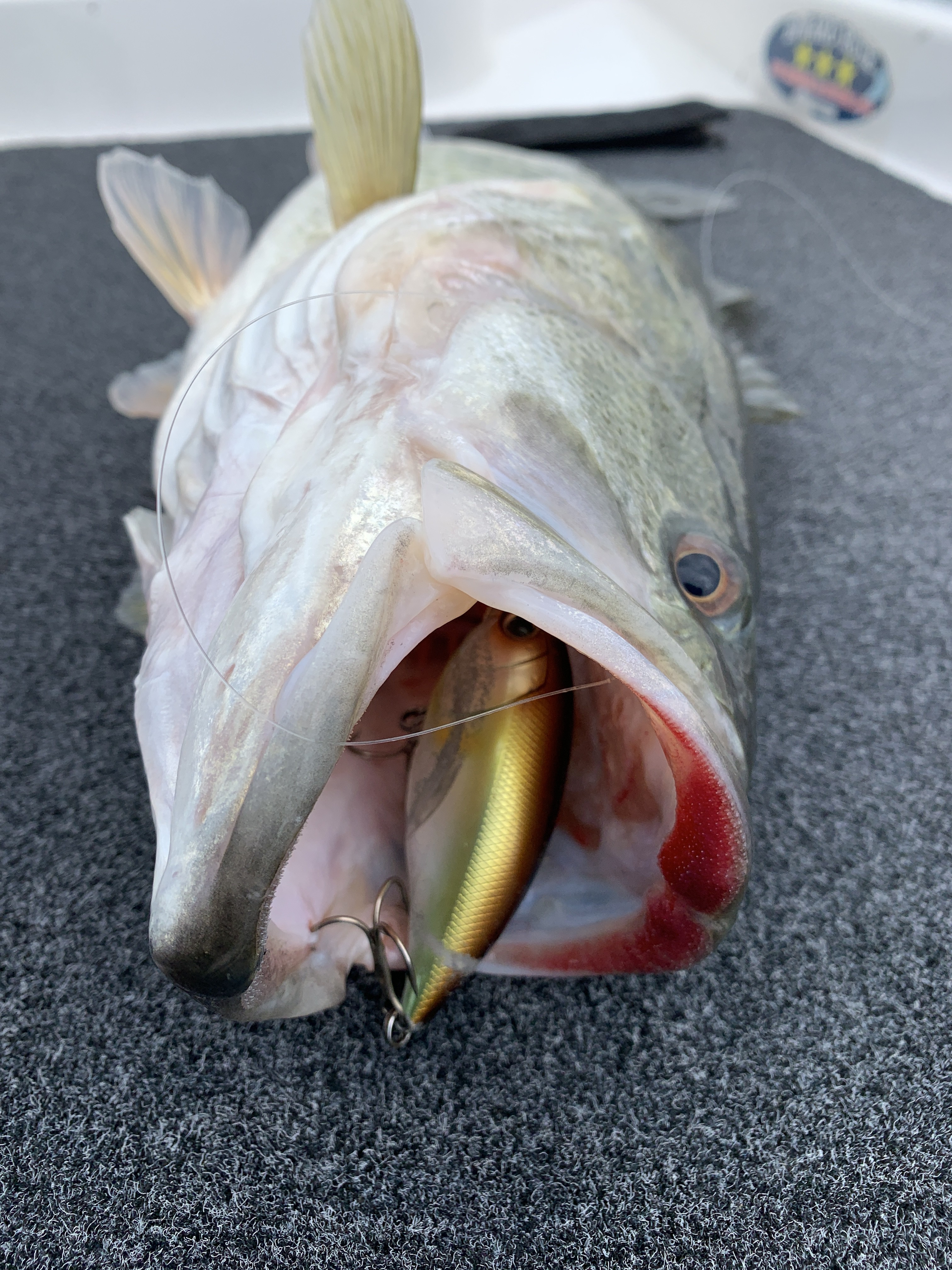 D3B6A5D0-78F9-4AF9-8C9B-9682B5EA1C3F