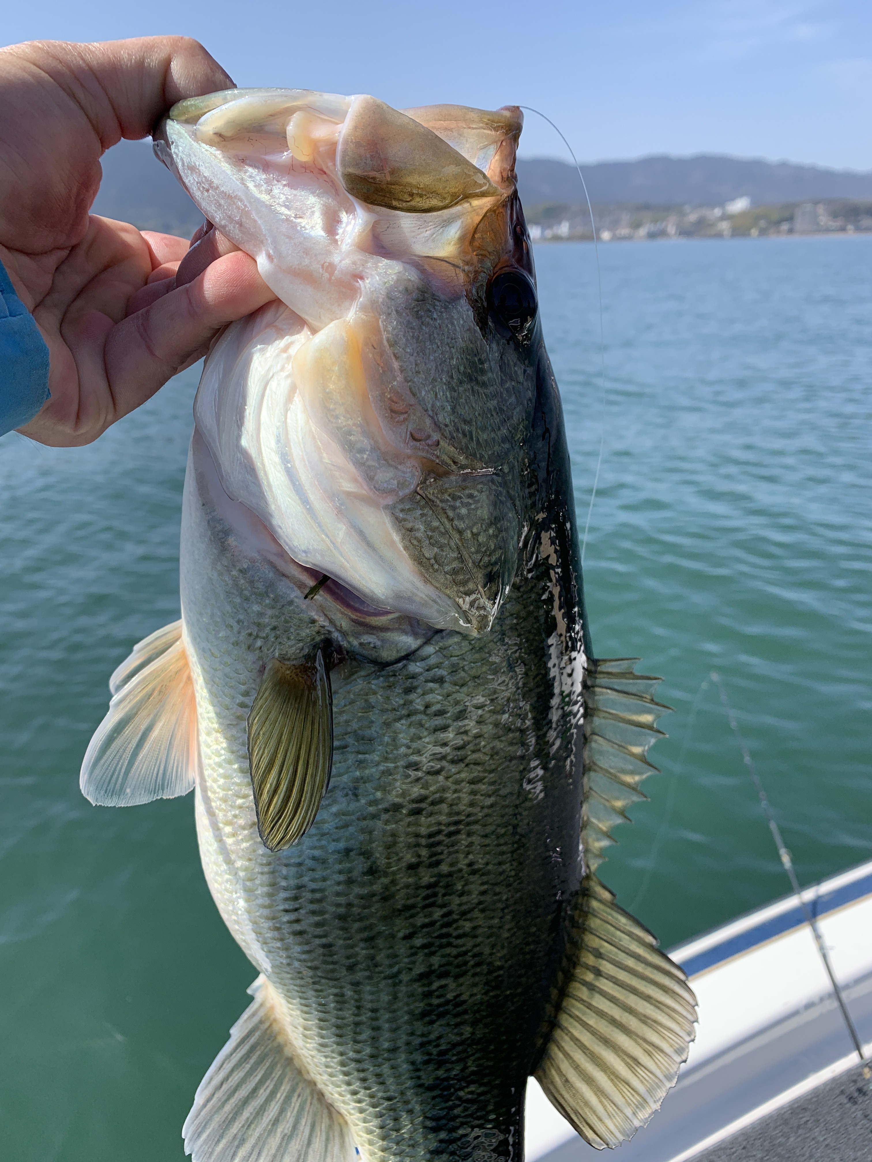 D9BF4B61-CFDC-436F-84DD-4B39FD0C9680