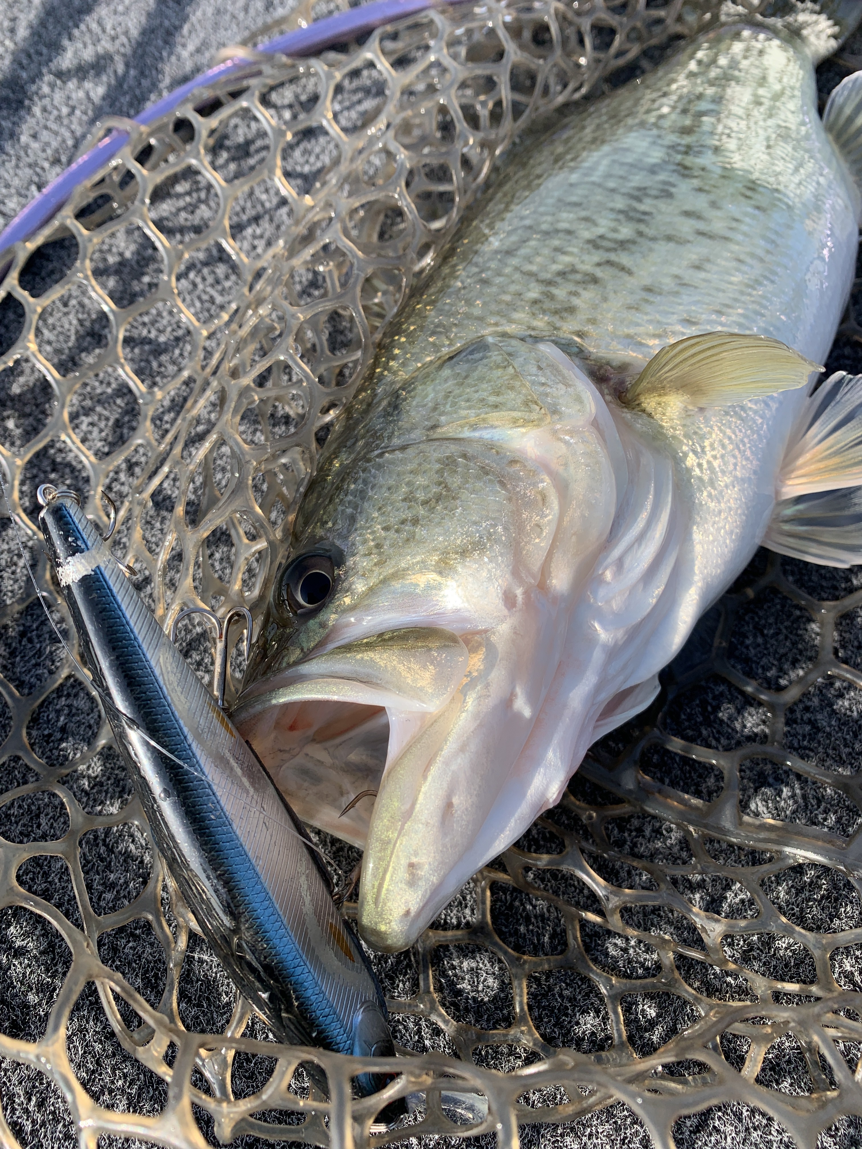 E8D27974-A381-465D-B6E9-580C5B7998EF