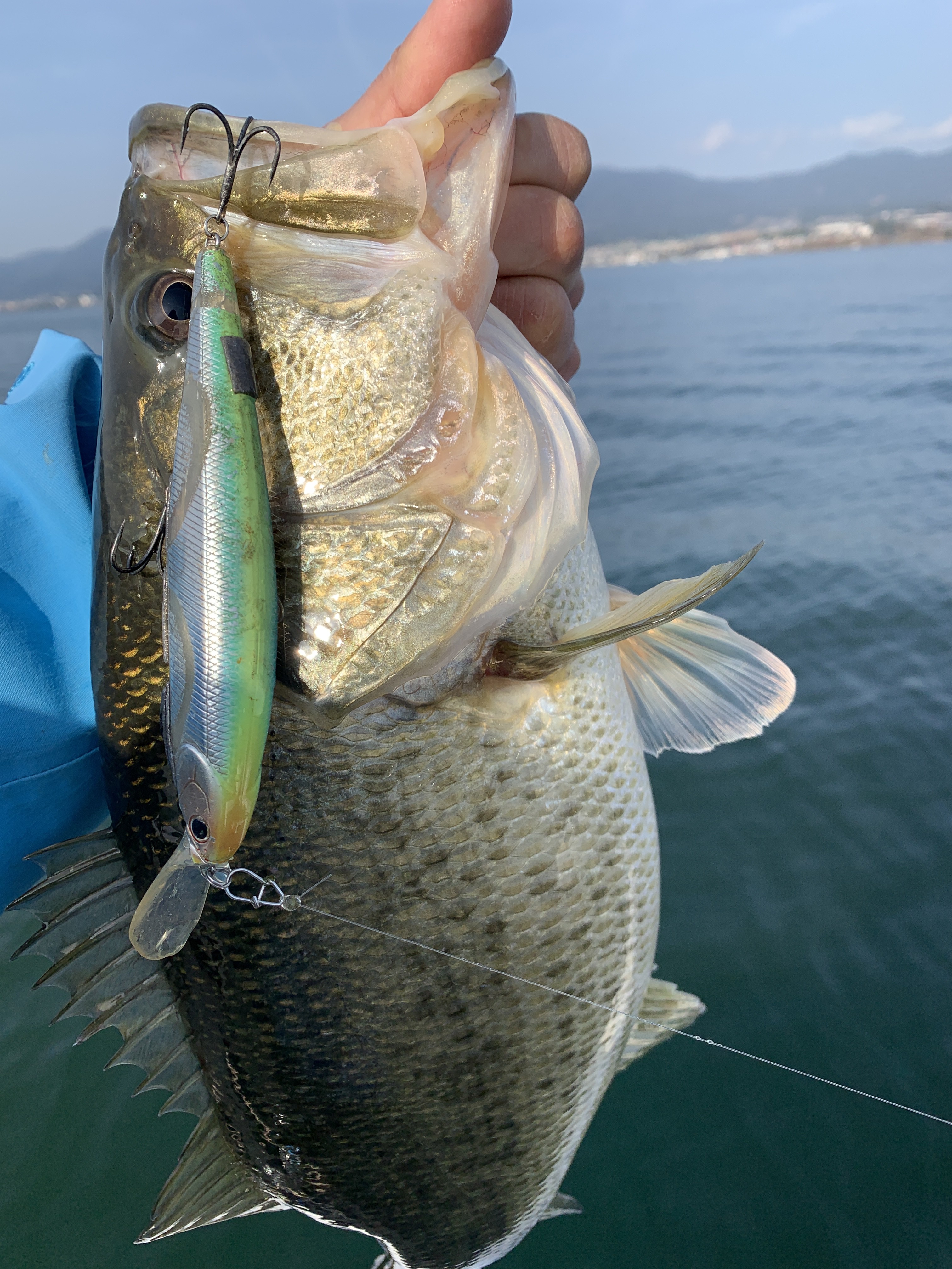 EB1BD409-26E7-4239-ADFB-9C8C78664354