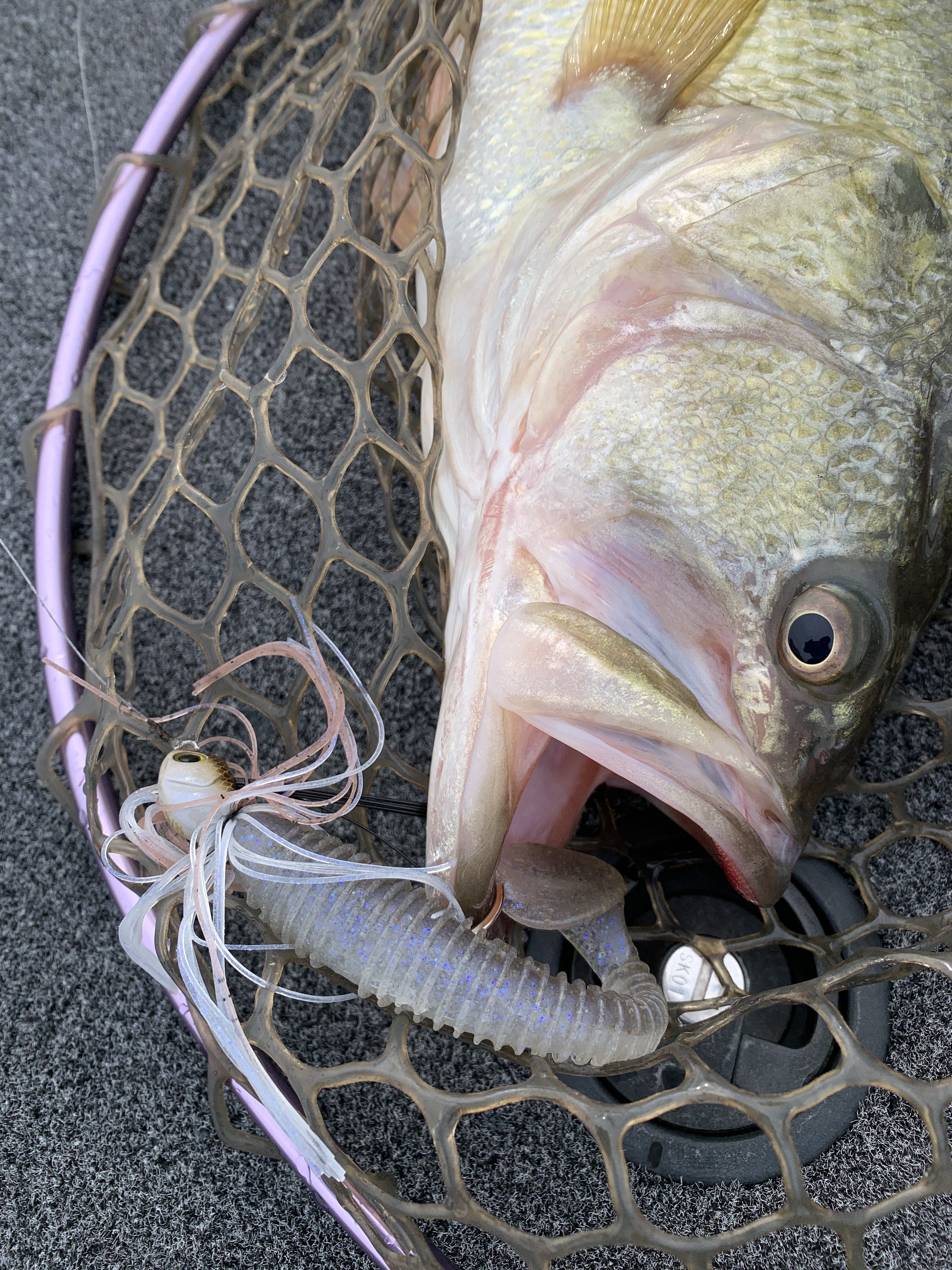 F234A578-8BDD-4C12-A0E3-5FB1E0D2970D